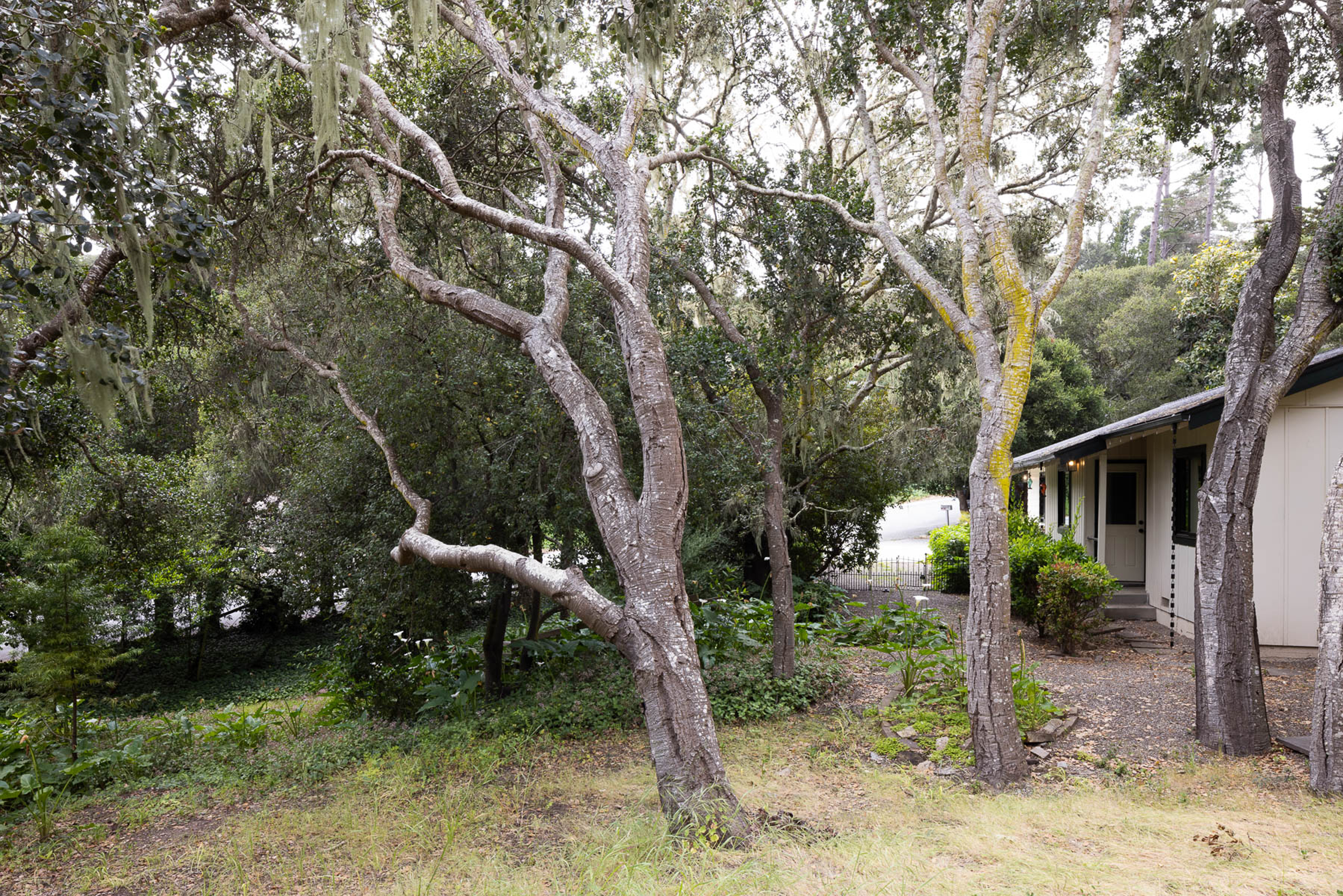  25315 Flanders Drive - 物件實景
