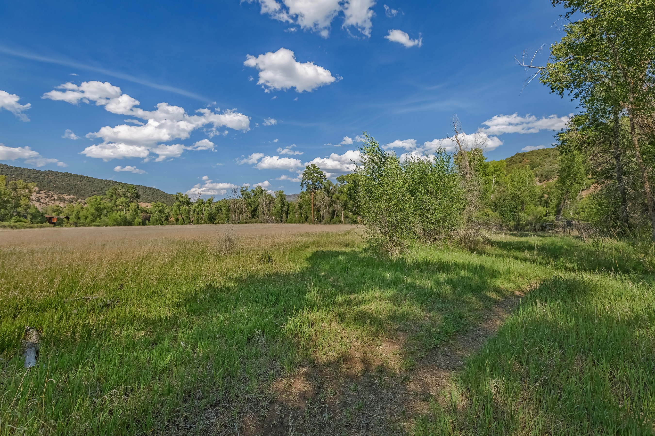  11 Piñon Lane, Carbondale, CO 81623 - 物件實景