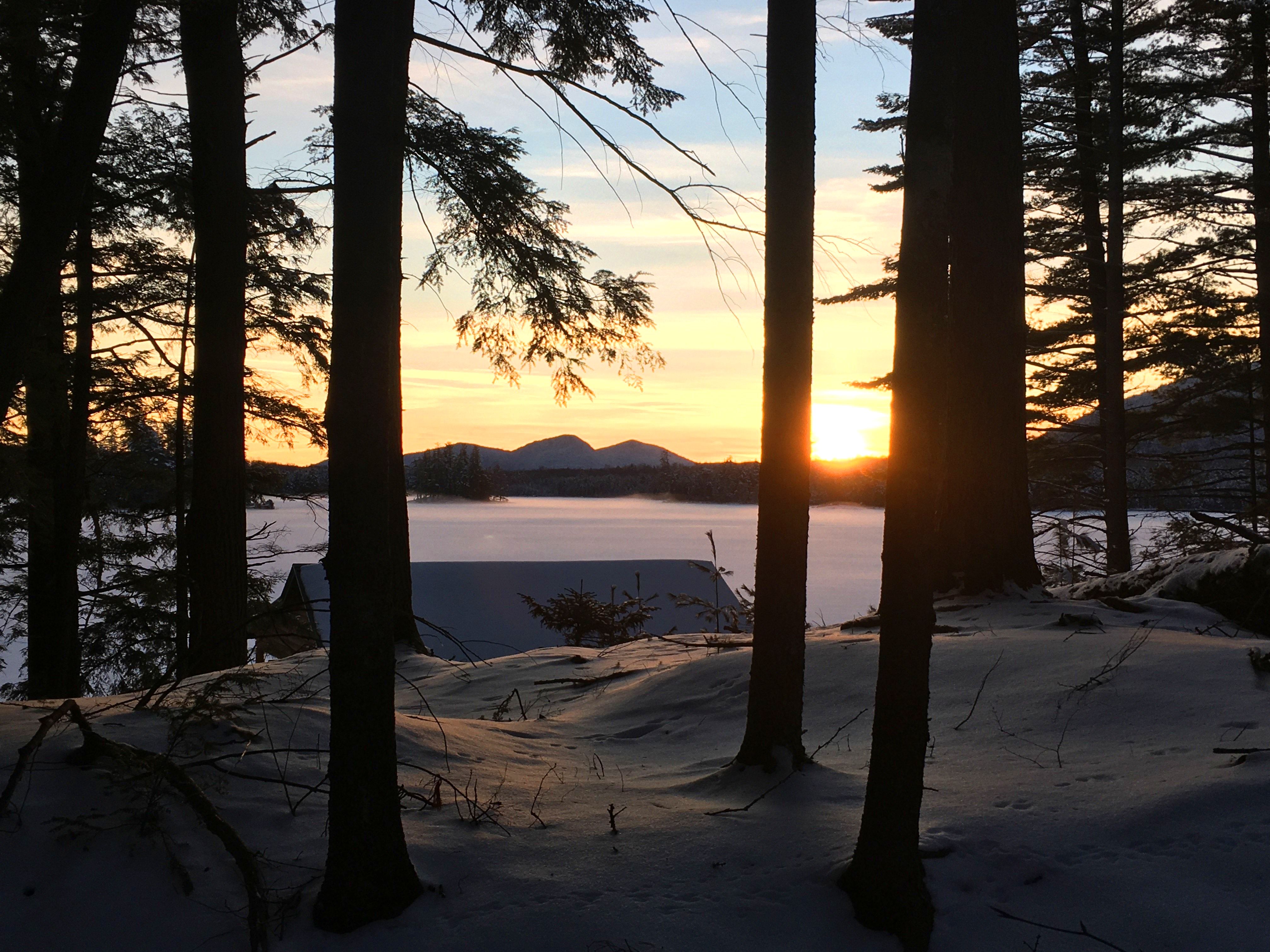  Whitney Park: A Legacy Beyond Measure - 物件實景