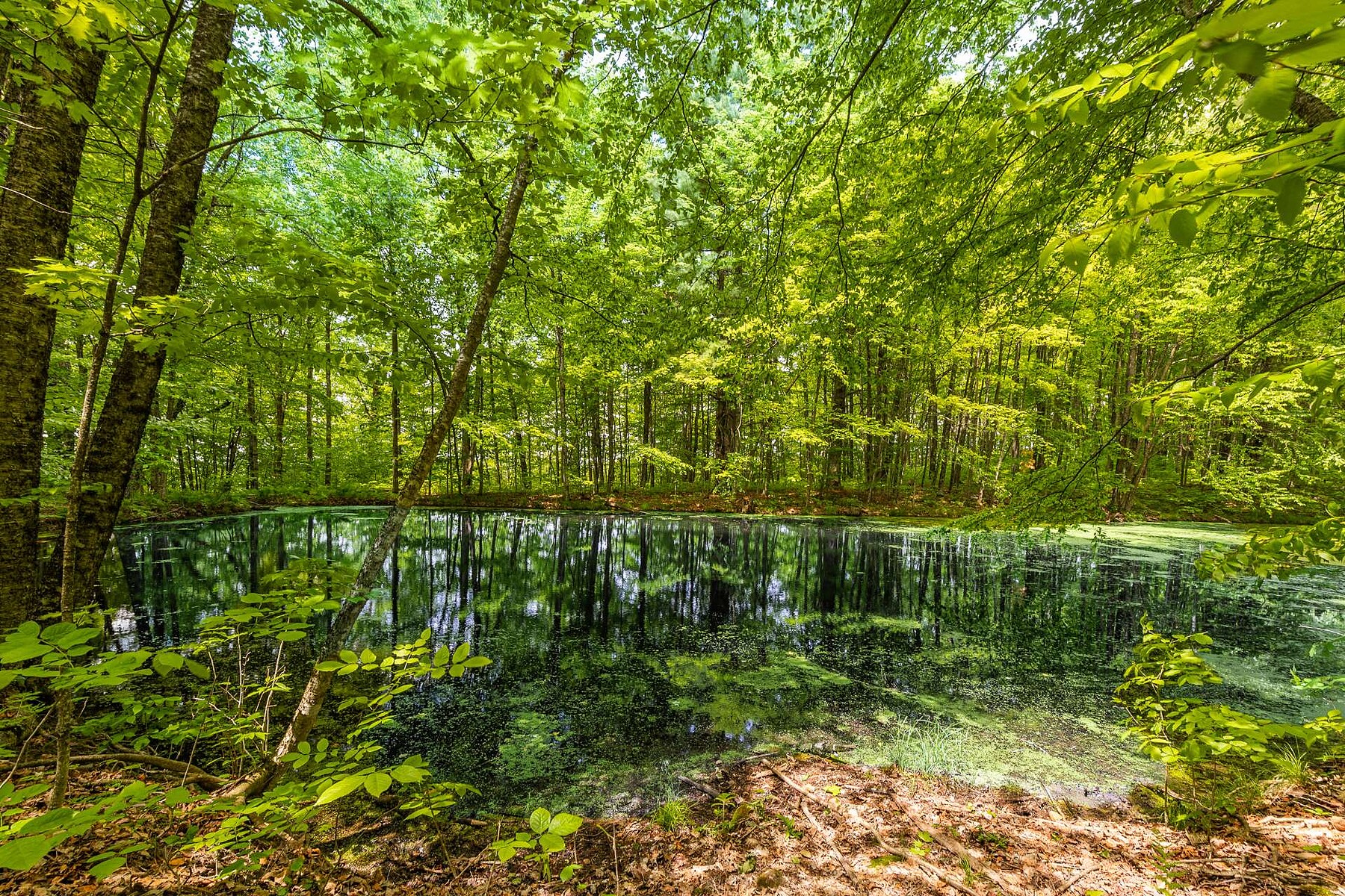  Dunham, Eastern Townships - 物件實景