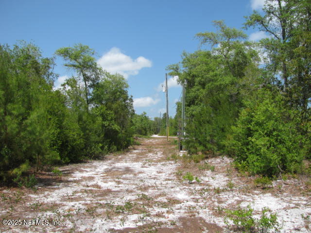DeLeon Springs, Florida, 32130, United States, ,Land,For Sale,1978390