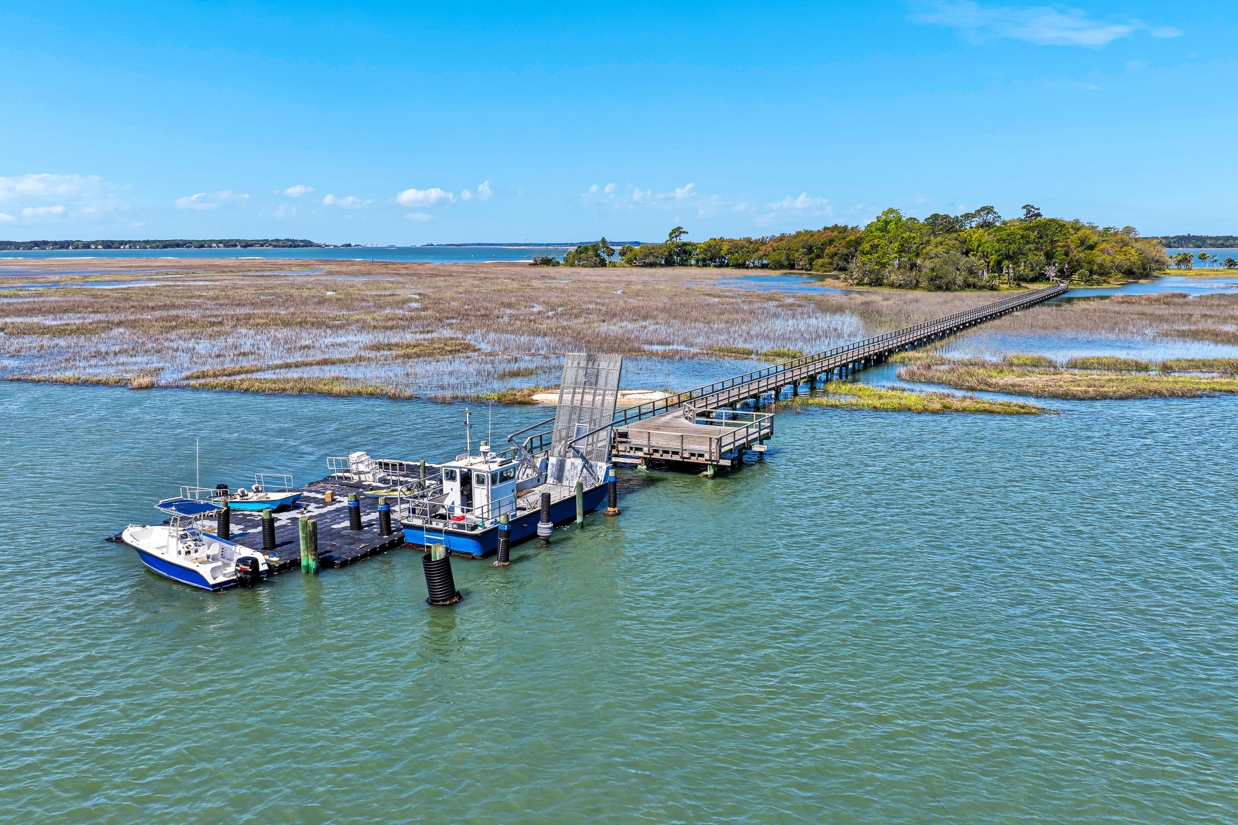  Buck Island  A Private Lowcountry Sanctuary - 物件實景