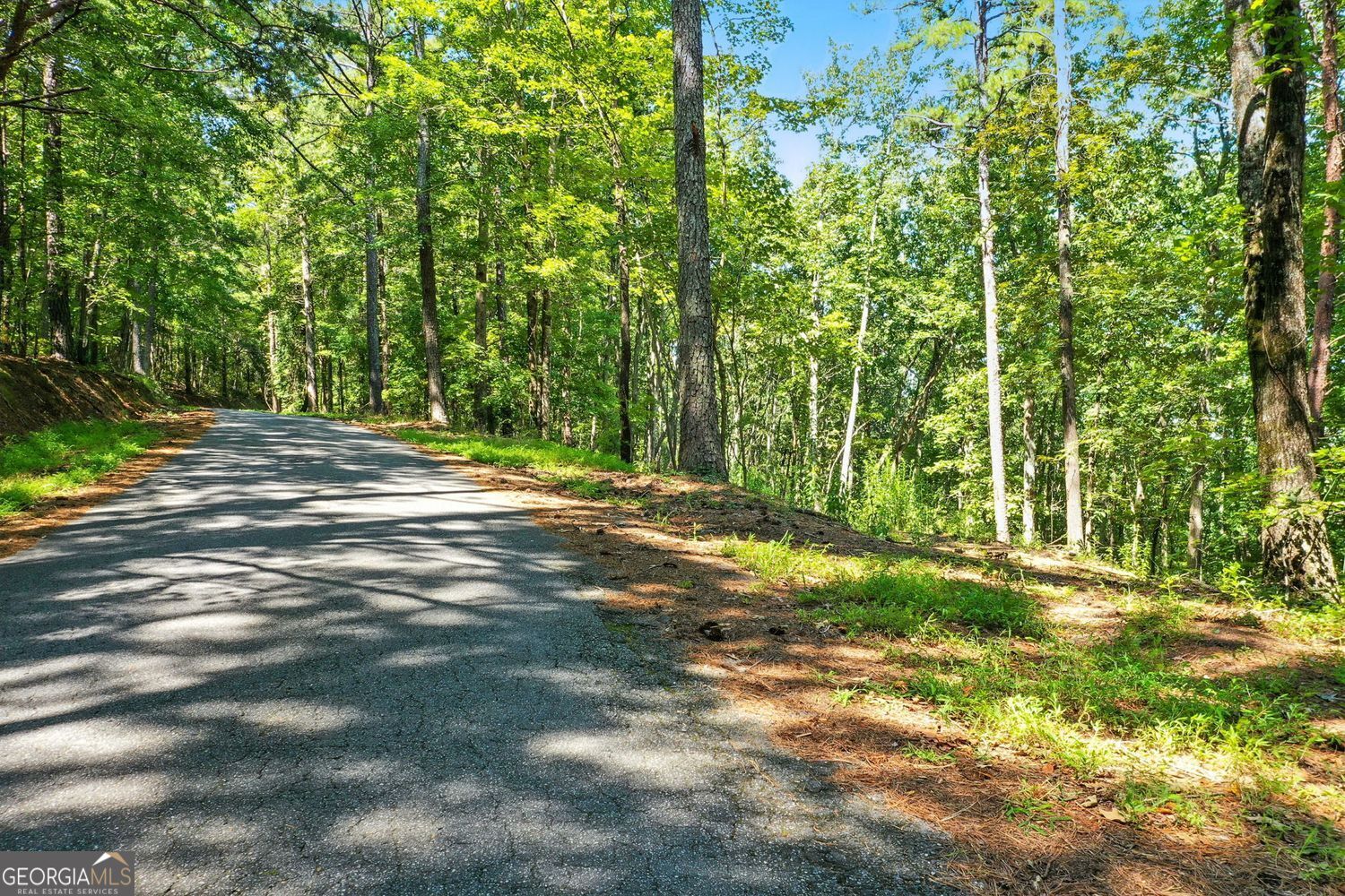Waleska, Georgia, 30183, United States, ,Land,For Sale,1929808