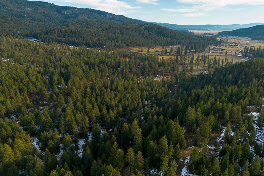 New Meadows, Idaho, 83654, United States, ,Land,For Sale,2005639