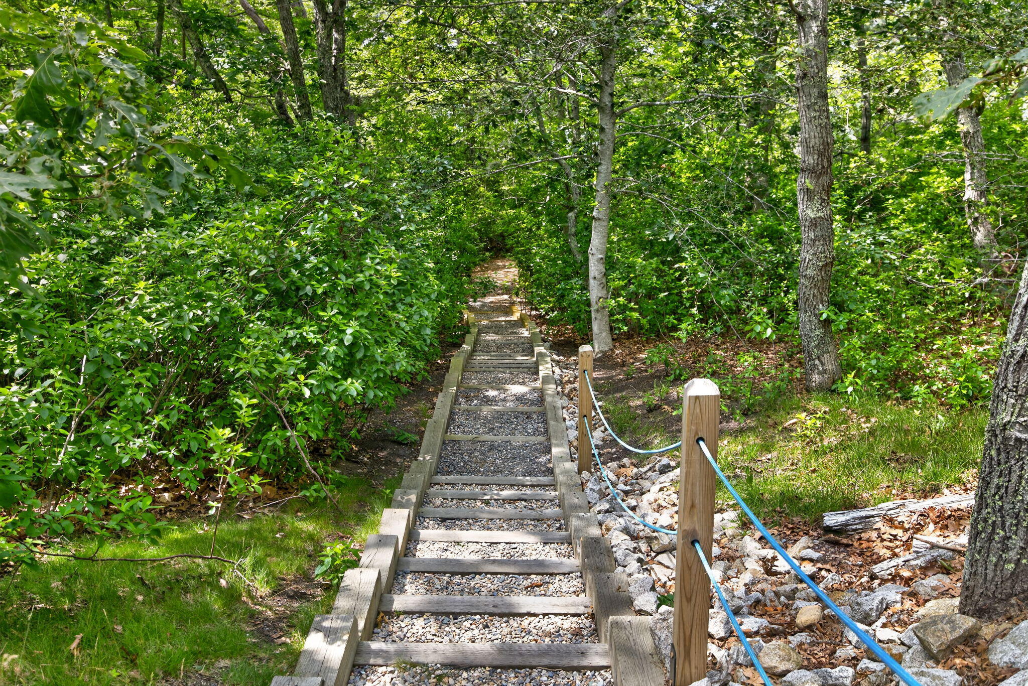  674 Crowells Bog Road, Brewster, MA, 02631 - 物件實景