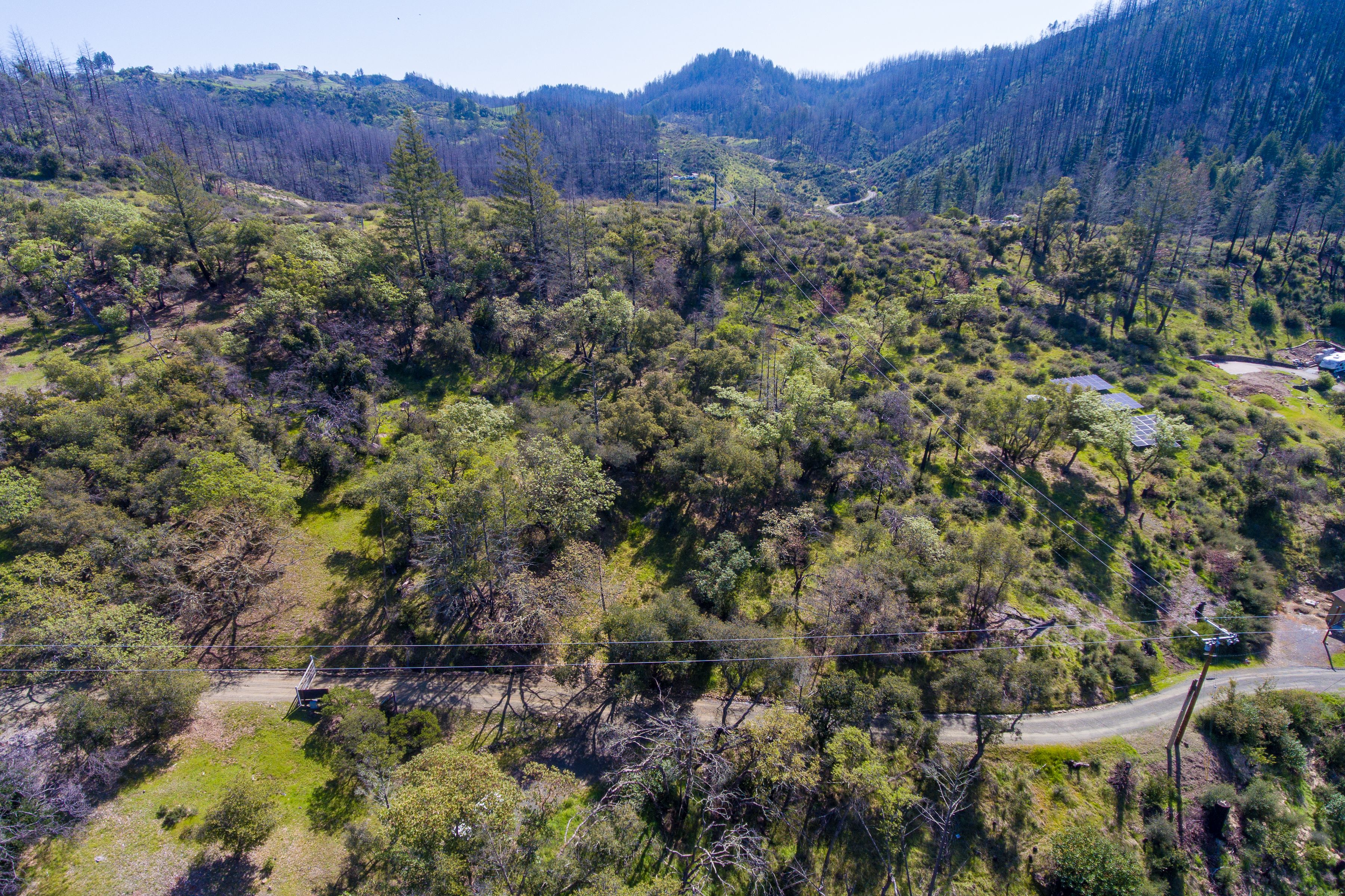  7935 St Helena Road - 物件實景