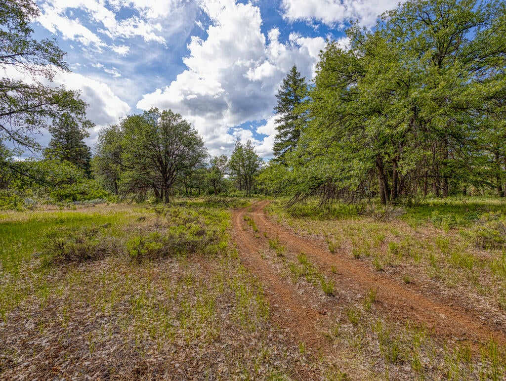Klamath Falls, Oregon, 97601, United States, ,Land,For Sale,1793869