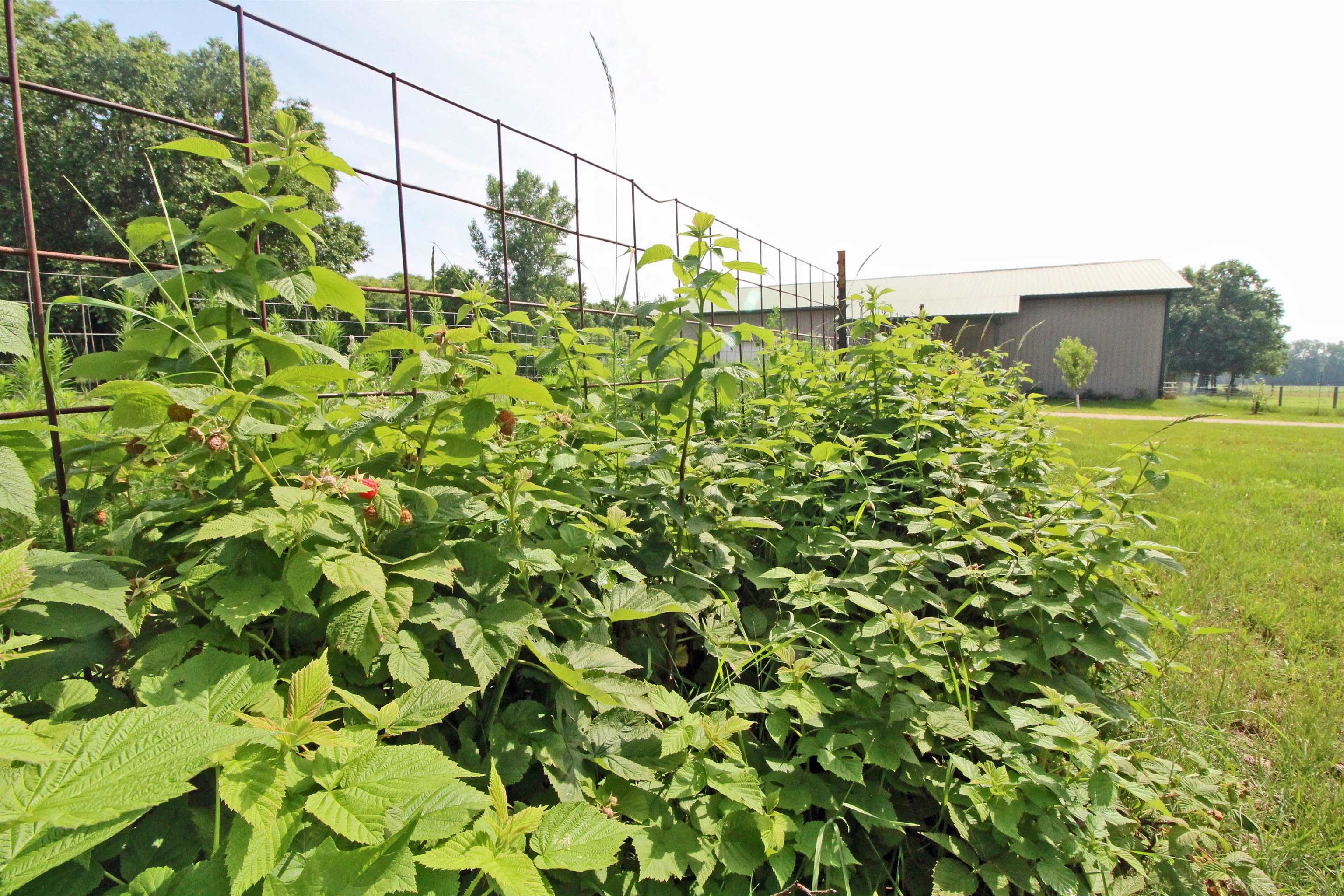 Arena, Wisconsin, 53503, United States, 3 Bedrooms Bedrooms, ,2 BathroomsBathrooms,Residential,For Sale,1980037