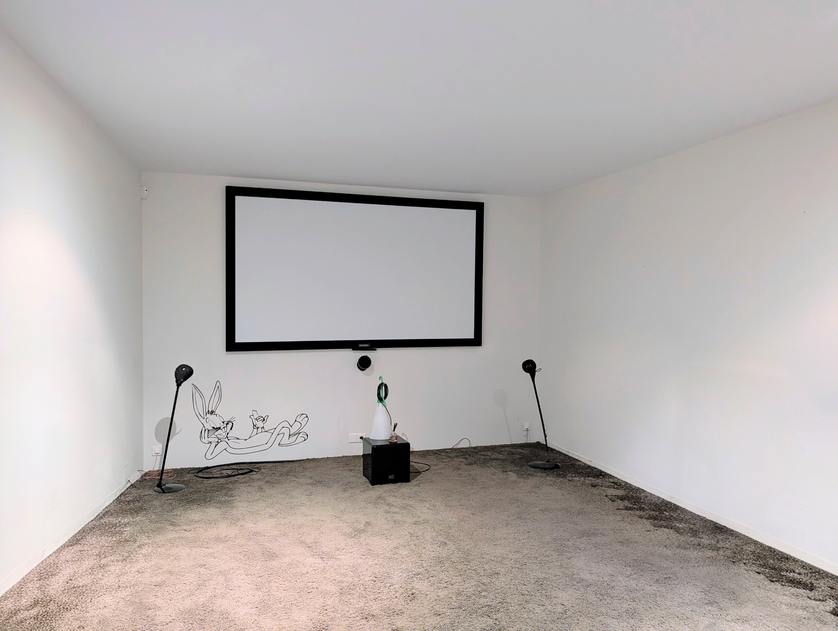  Spacious loft with garden and swimming pool in the centre of Angers - 物件實景