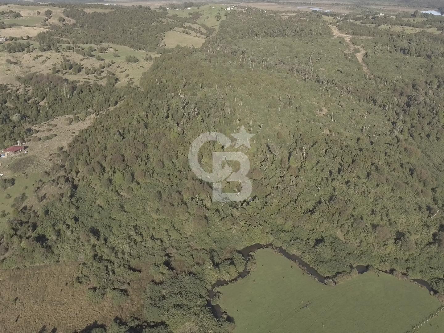 Ancud, Chile, ,Residential,For Sale,1993248