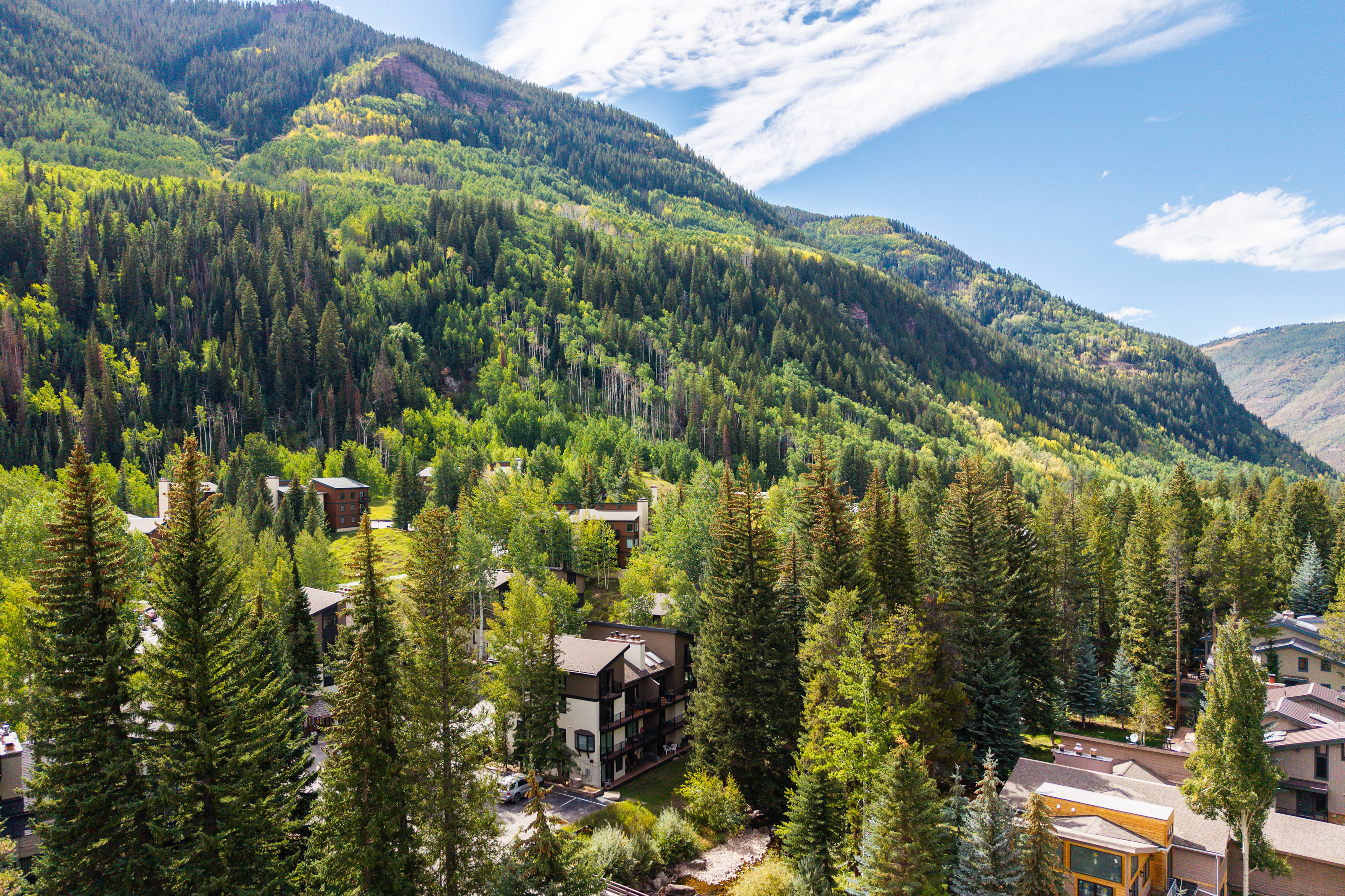  Surrounded by Mature Trees and Mountain Views - 物件實景