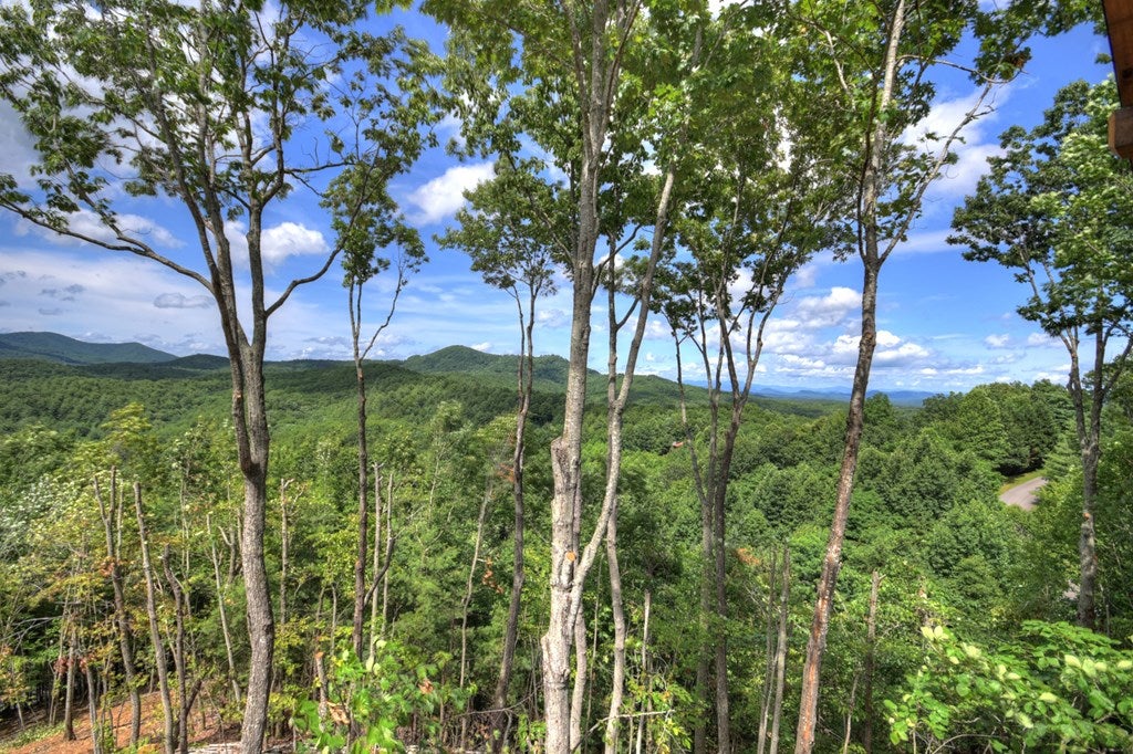 Mineral Bluff, Georgia, 30559, United States, 4 Bedrooms Bedrooms, ,4 BathroomsBathrooms,Residential,For Sale,1871299