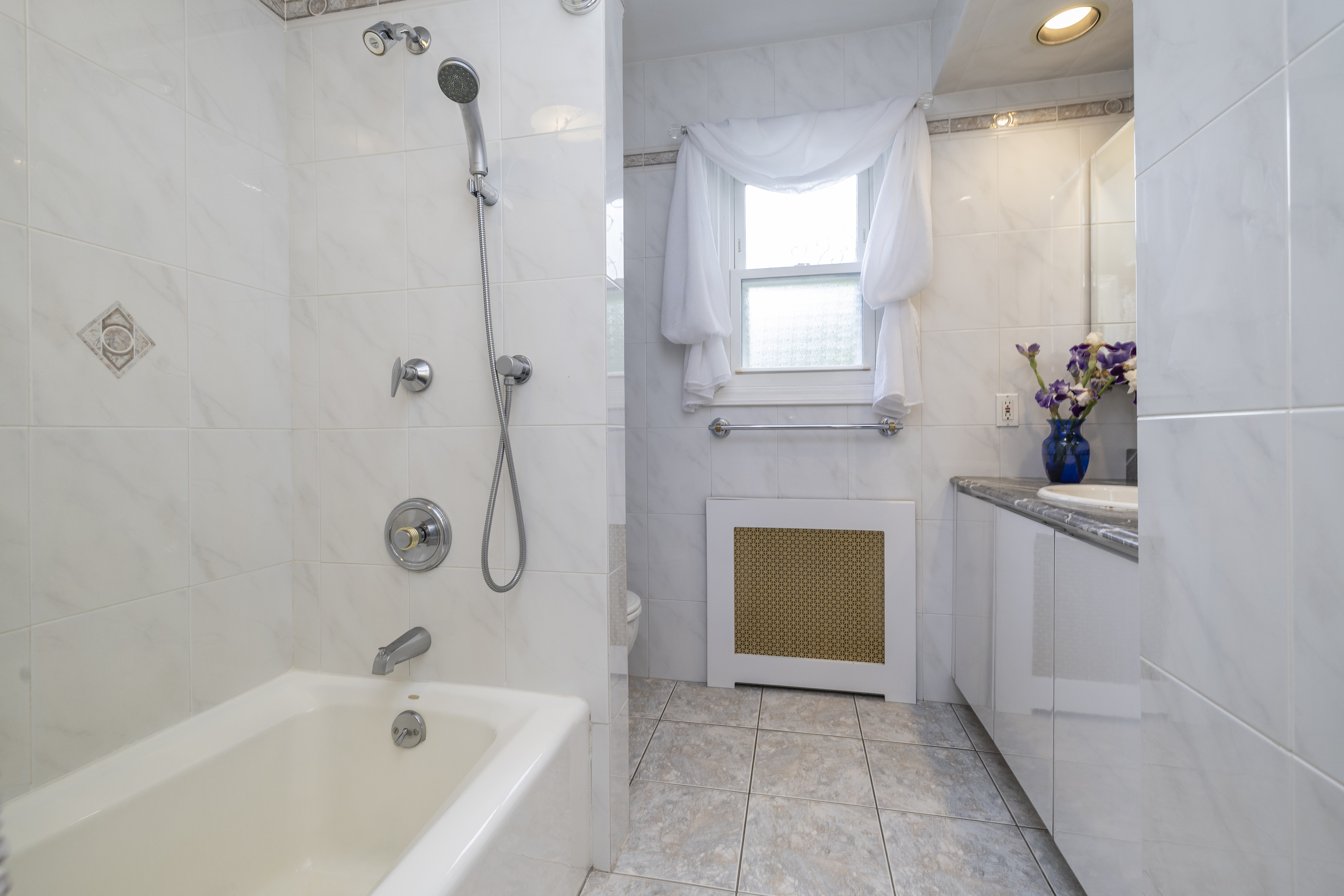  124 Peterhoff Avenue, Malverne, NY, 11565 - 物件實景