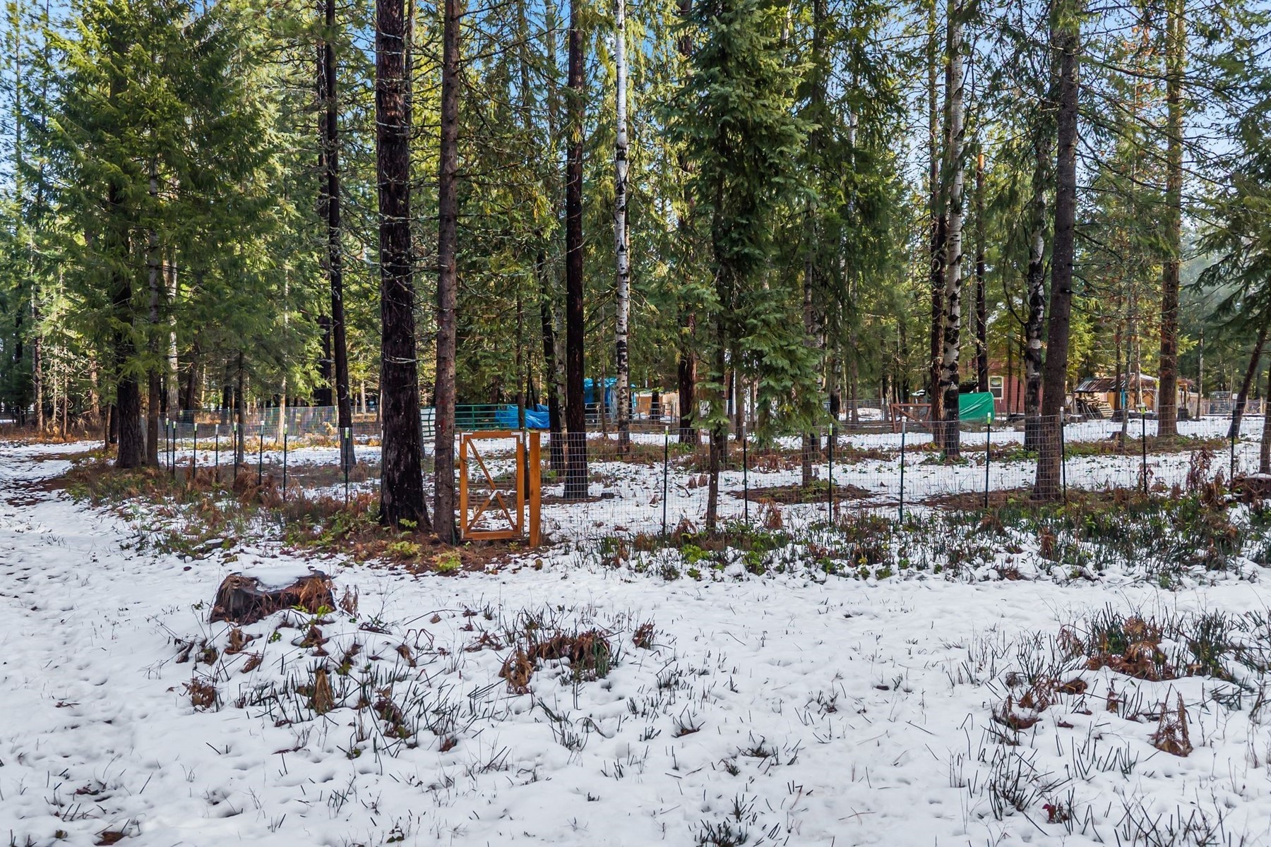  Charming Country Home on 10 Acres - 物件實景