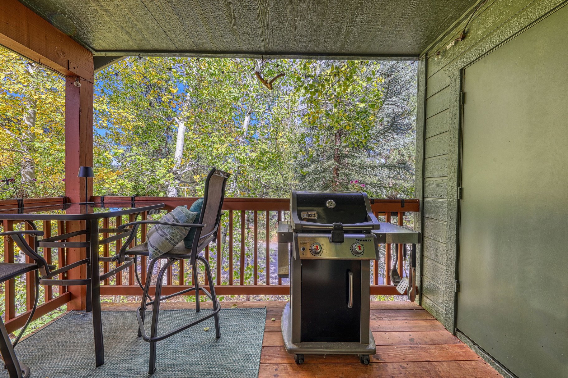 Mountain Living Connected to the Heart of Truckee - 物件實景