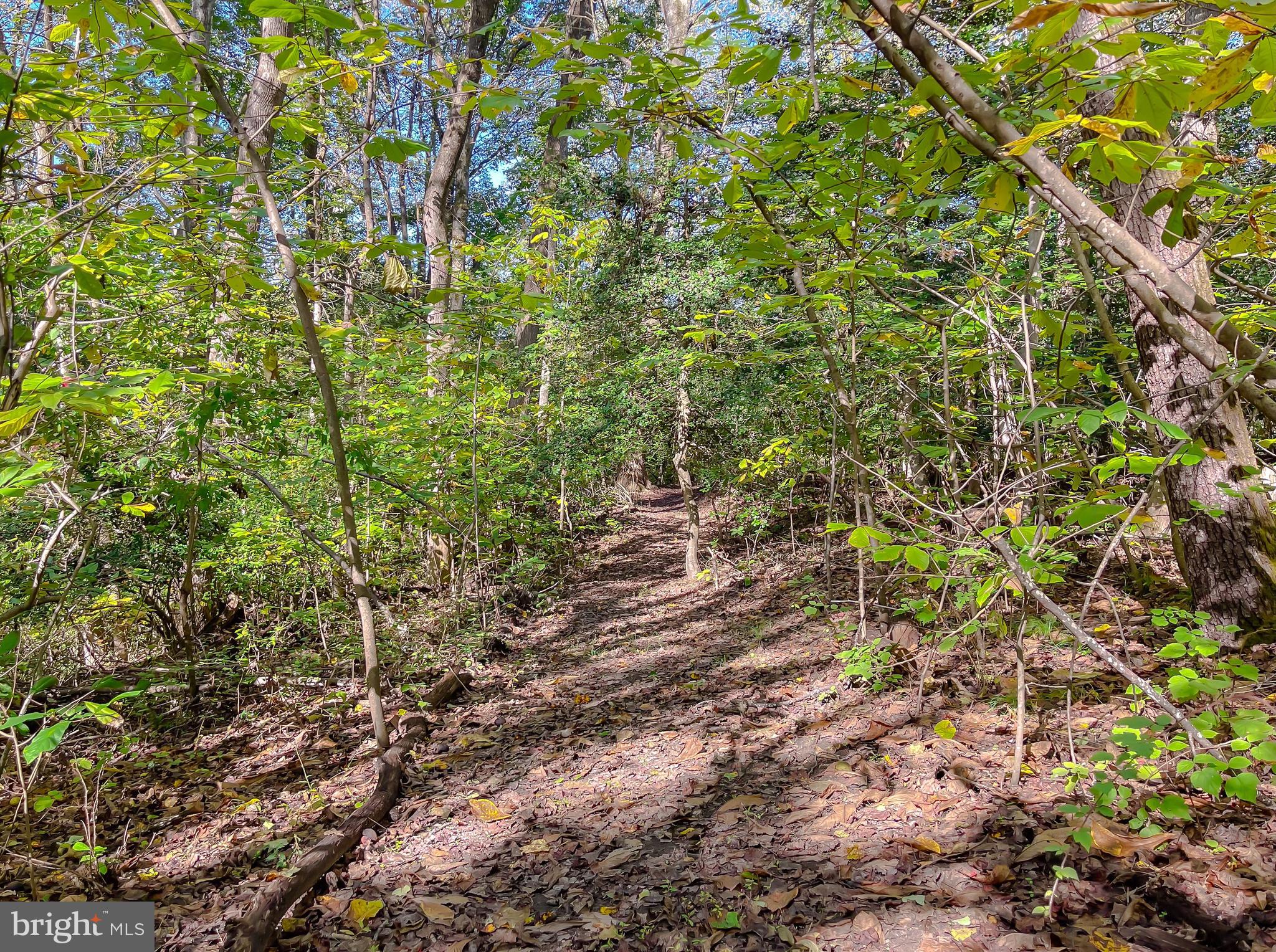 Hollywood, Maryland, 20636, United States, 3 Bedrooms Bedrooms, ,2 BathroomsBathrooms,Residential,For Sale,1978416