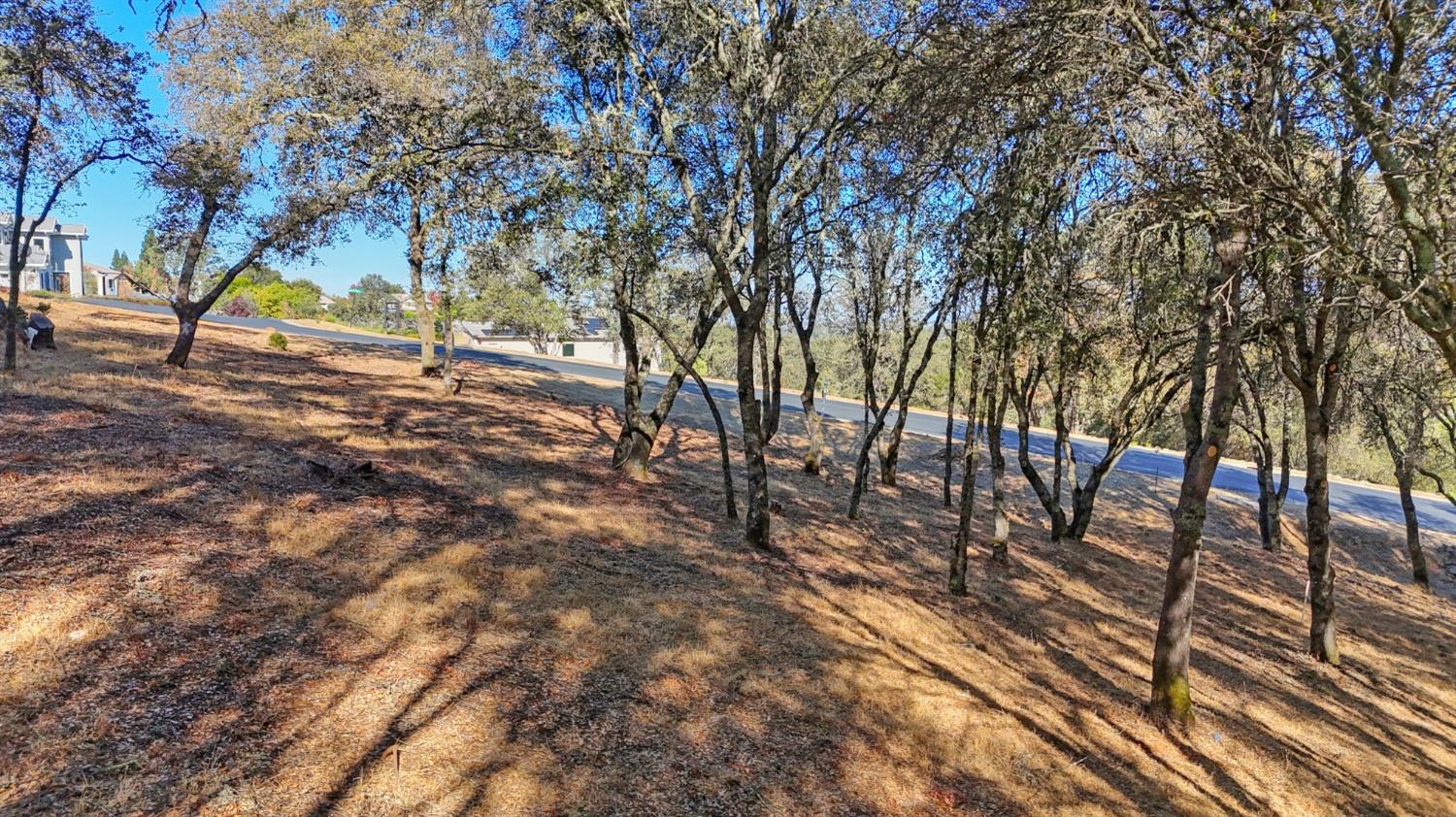 El Dorado Hills, California, 95762, United States, ,Land,For Sale,1993227