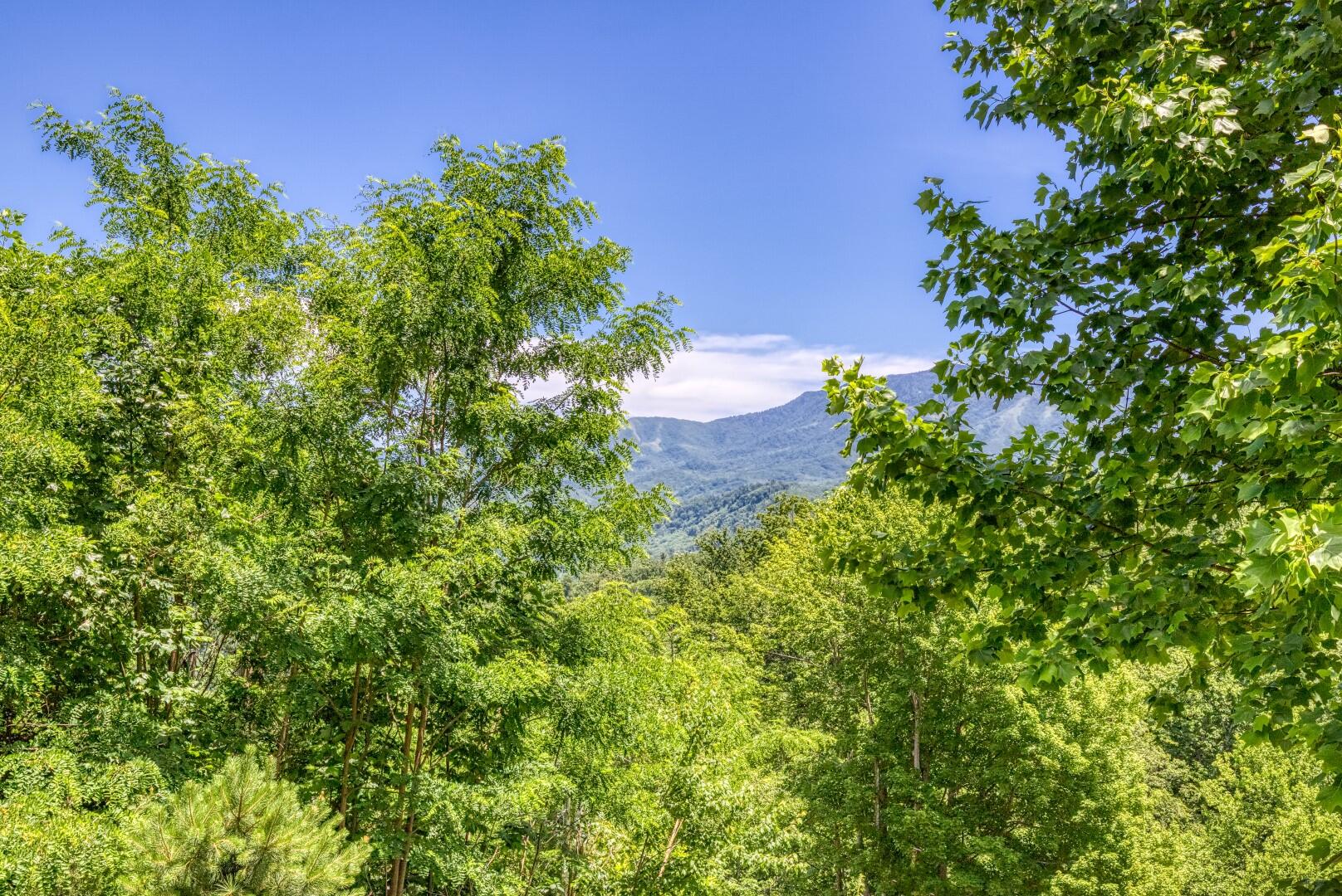 Gatlinburg, Tennessee, 37738, United States, 2 Bedrooms Bedrooms, ,3 BathroomsBathrooms,Residential,For Sale,1931589
