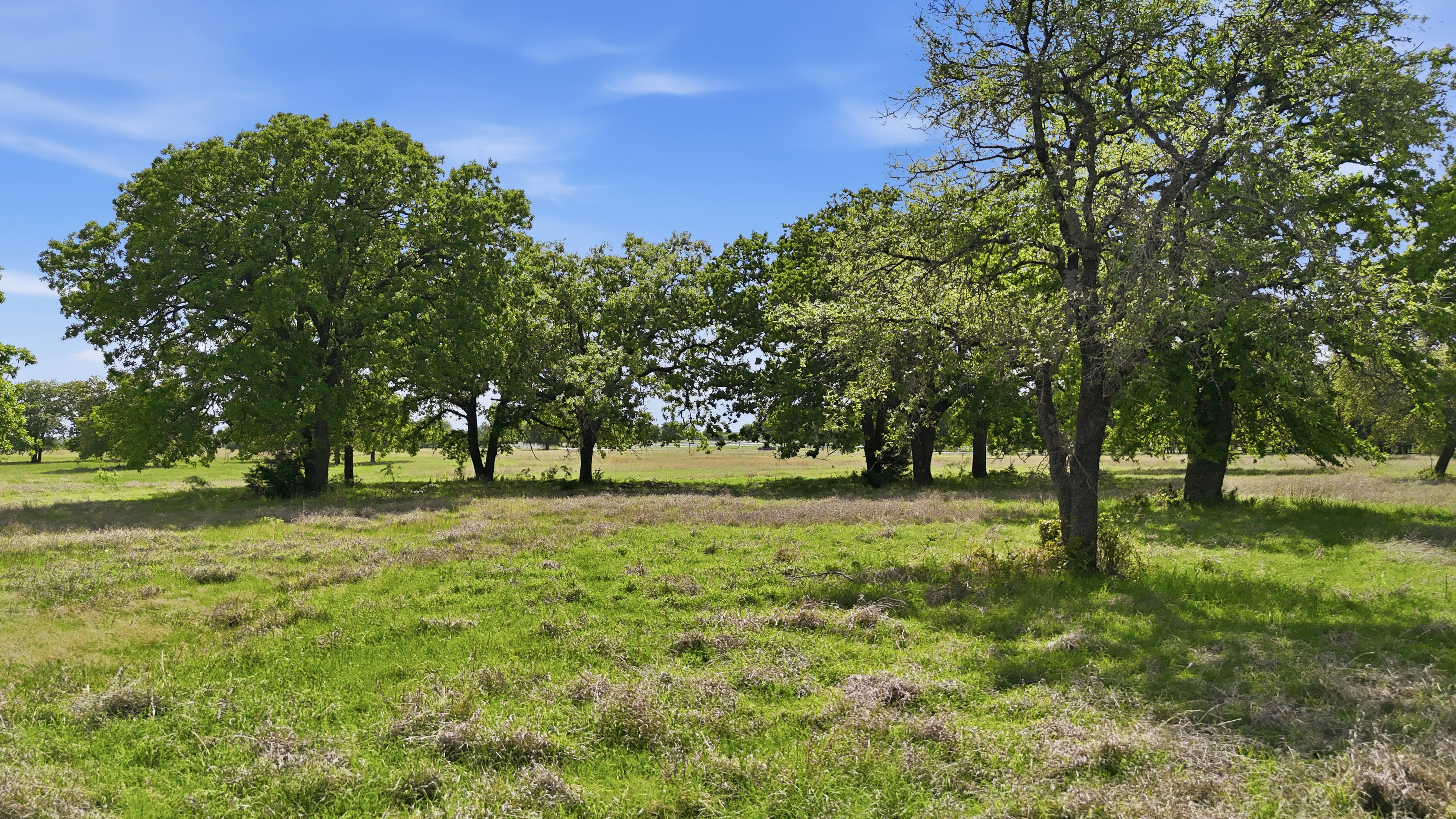 400 River Ranch Road, Aledo, TX, 76008 - 物件實景