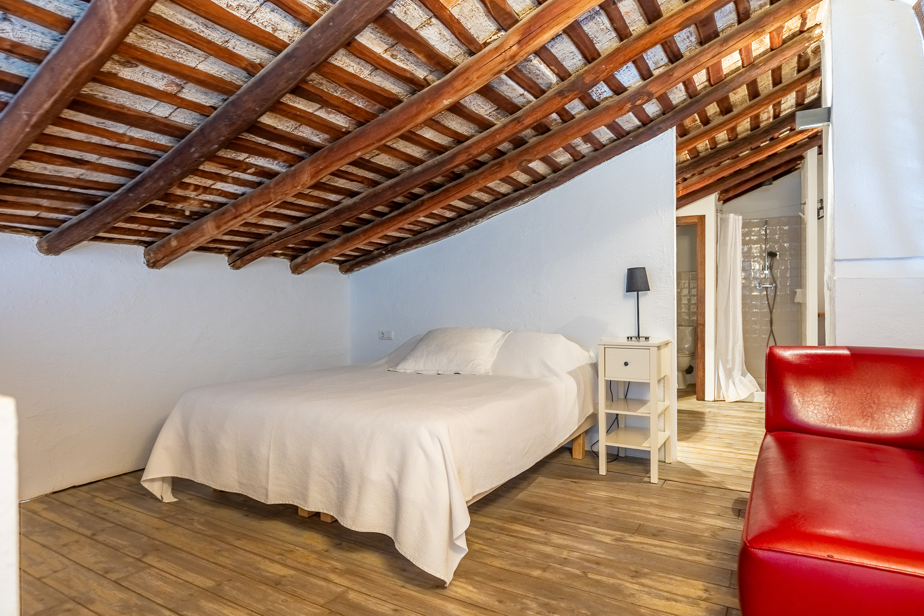  Historic, unique, and sustainable property in Seville - 物件實景