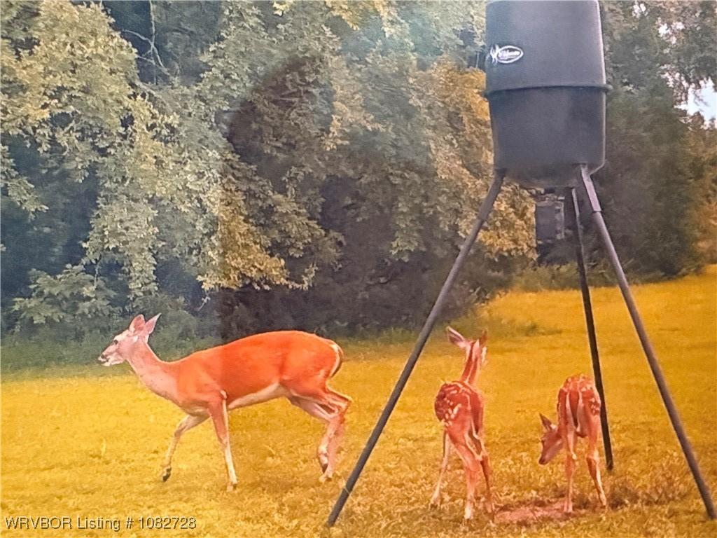 McCurtain, Oklahoma, 74944, United States, 3 Bedrooms Bedrooms, ,2 BathroomsBathrooms,Residential,For Sale,1977810