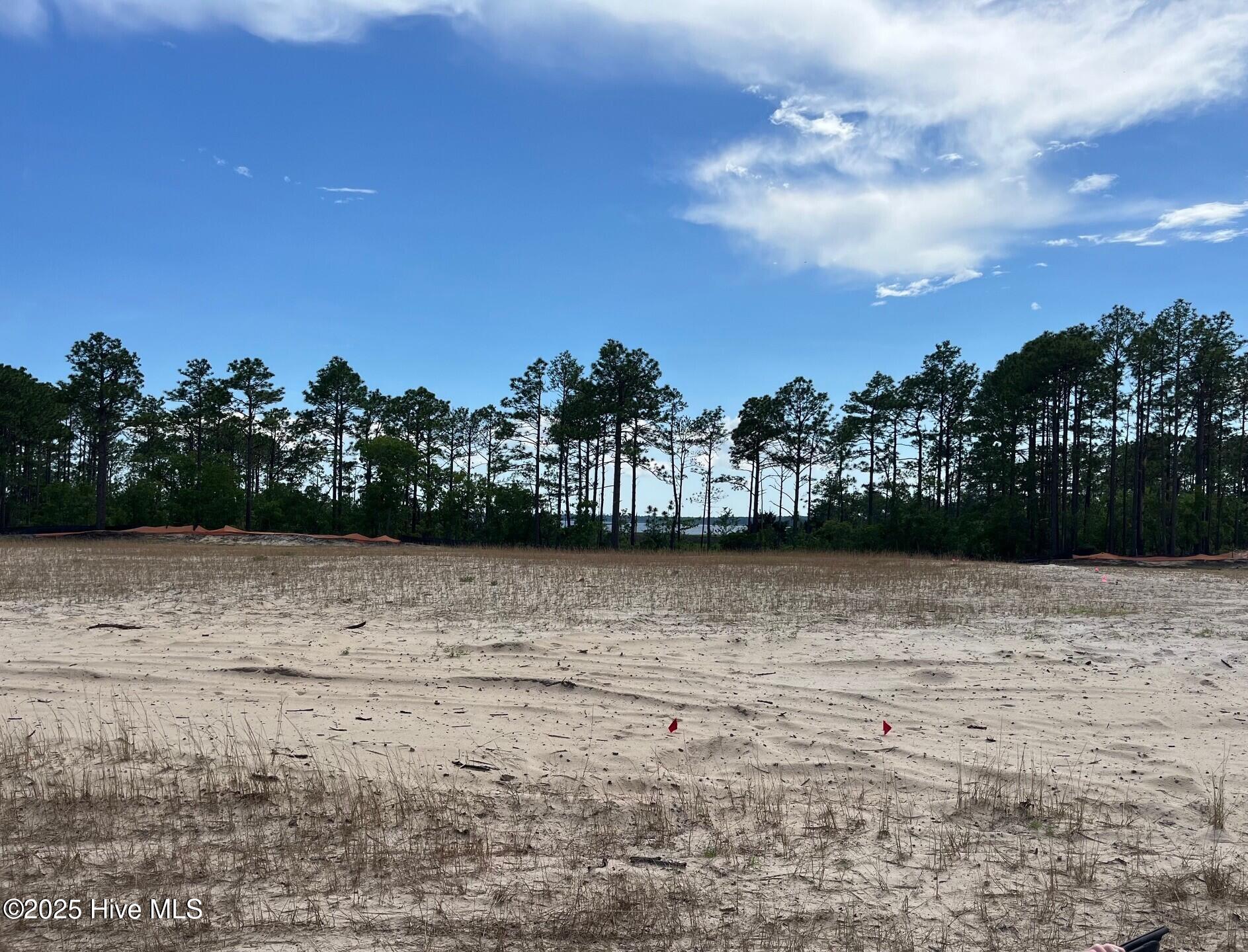 Wilmington, North Carolina, 28412, United States, 4 Bedrooms Bedrooms, ,4 BathroomsBathrooms,Residential,For Sale,1991934