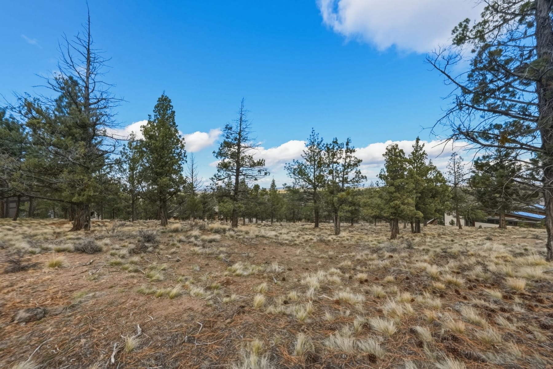  1560 NW Wild Rye Circle Bend, OR 97703 - 物件實景
