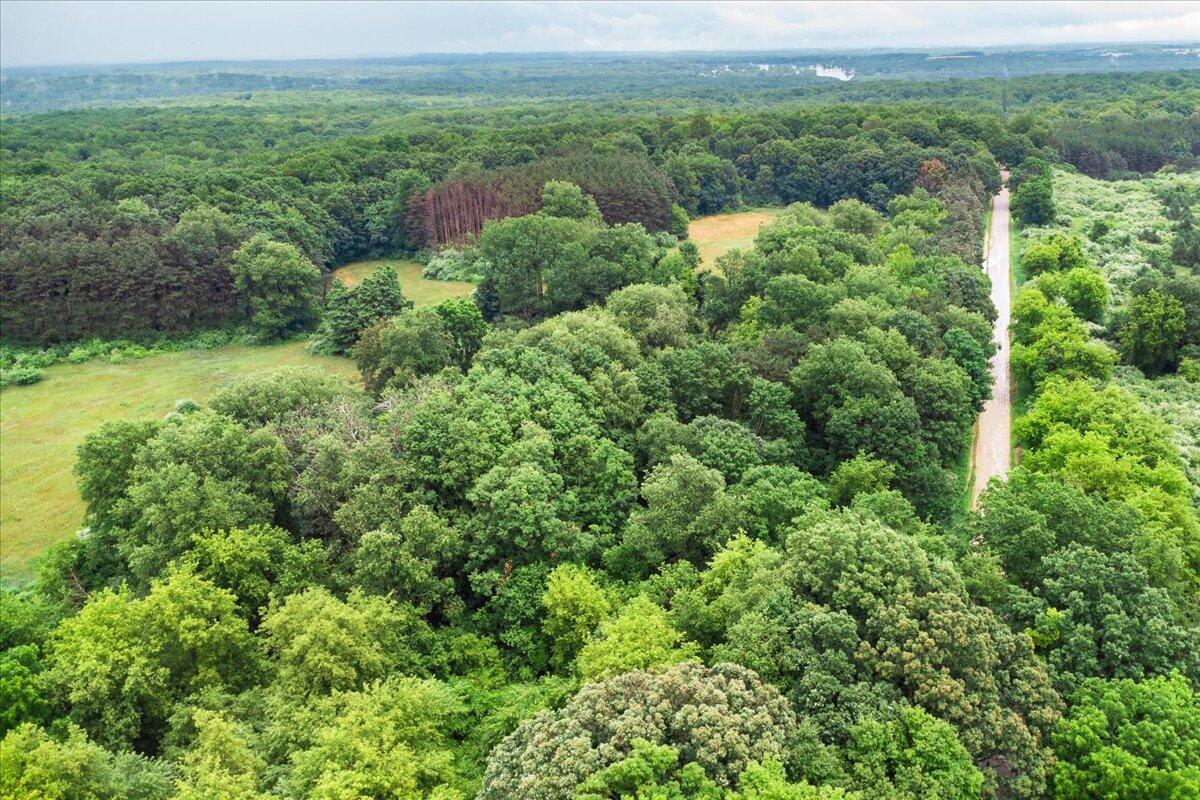 Remus, Michigan, 49340, United States, 3 Bedrooms Bedrooms, ,3 BathroomsBathrooms,Residential,For Sale,1979696