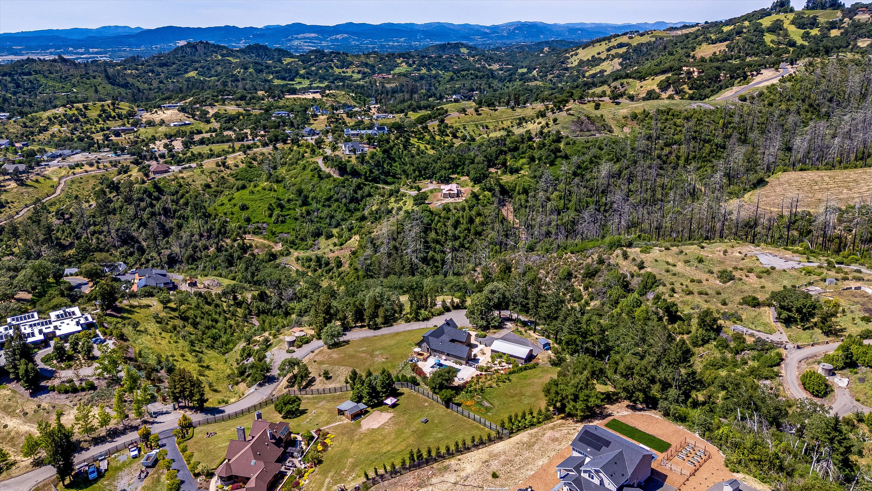  1750 Crystal Springs Court - 物件實景