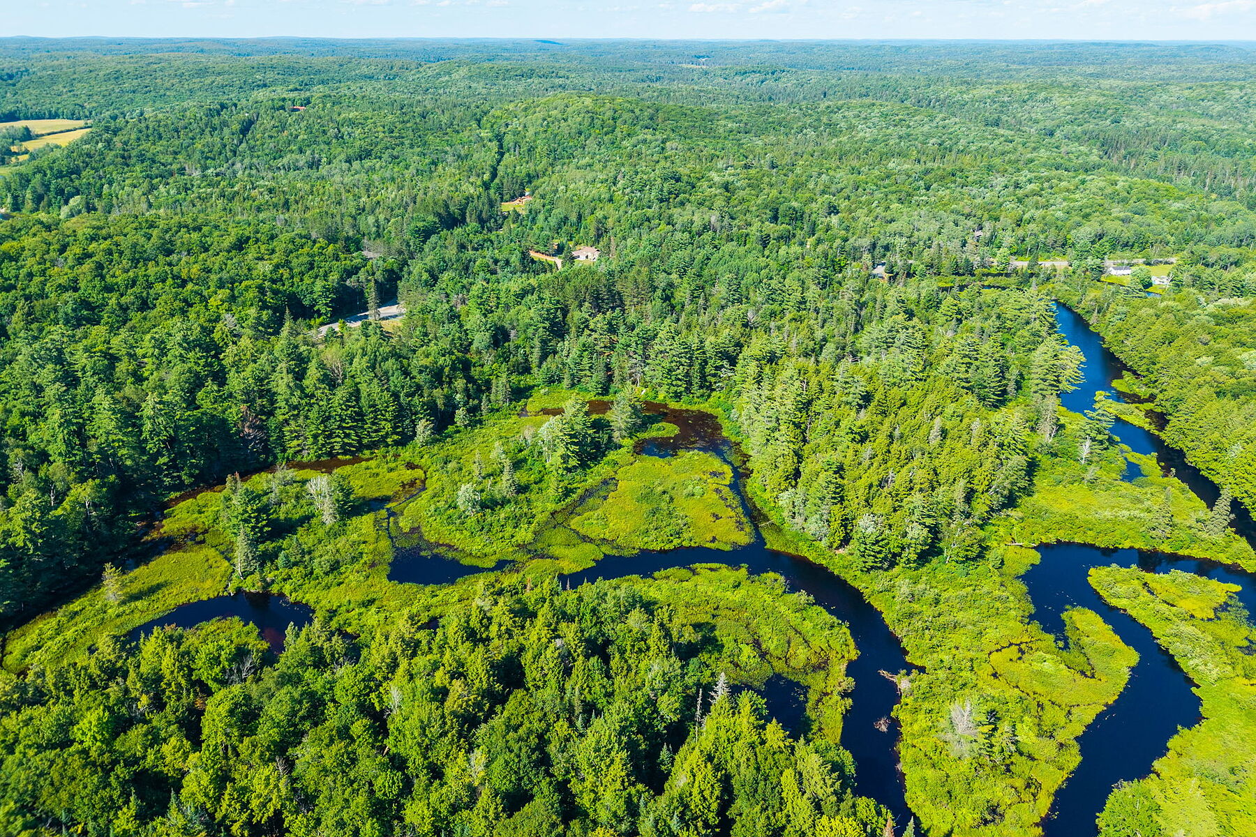  Buck River Huntsville - 物件實景