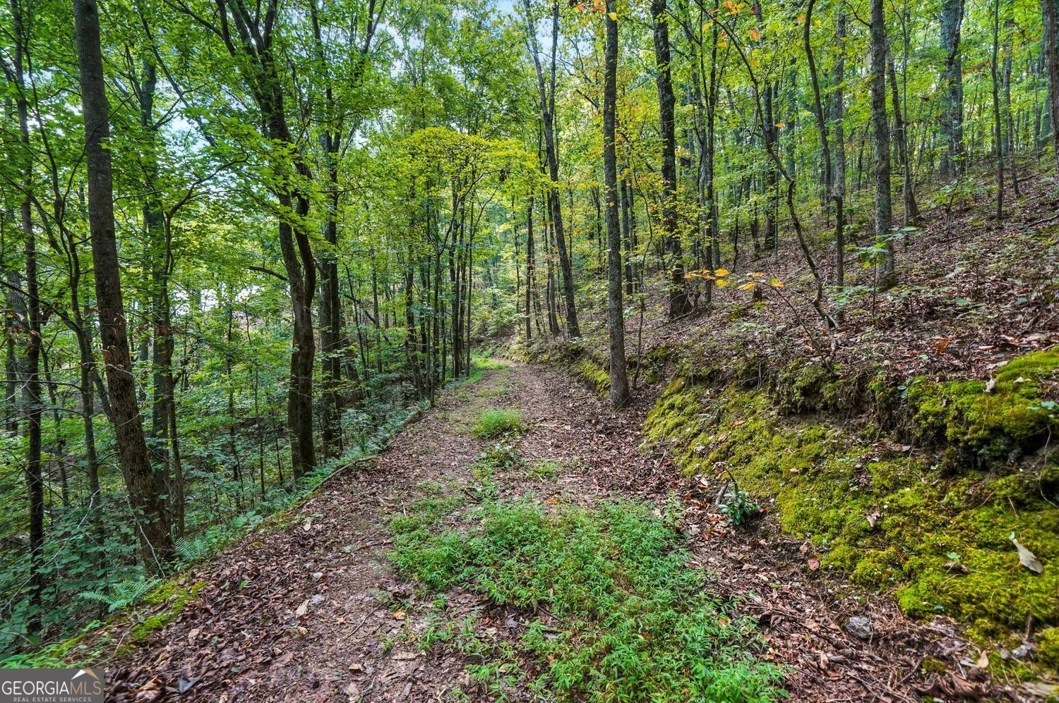 Waleska, Georgia, 30183, United States, ,Land,For Sale,1929808