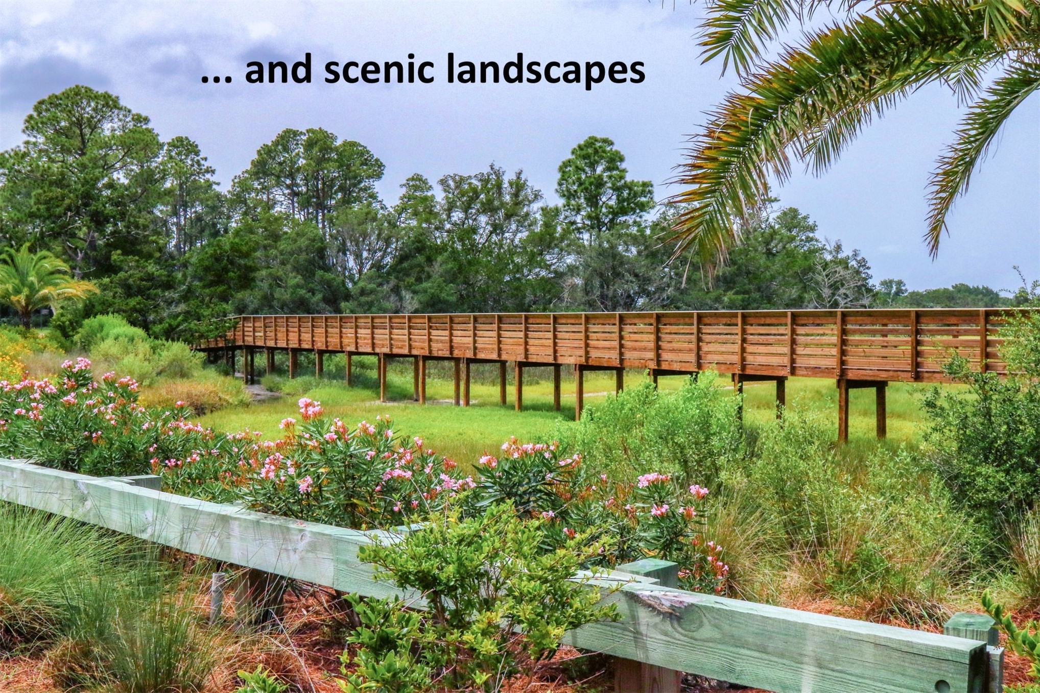 Fernandina Beach, Florida, 32034, United States, 4 Bedrooms Bedrooms, ,3 BathroomsBathrooms,Residential,For Sale,2022820