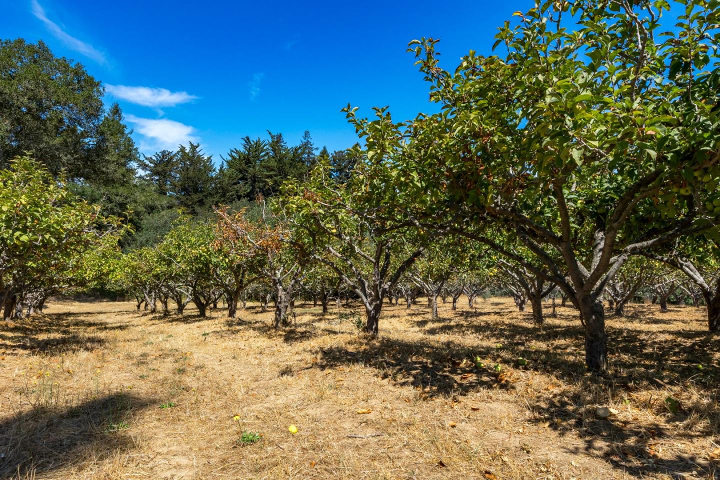 Watsonville, California, 95076, United States, ,Land,For Sale,1942111
