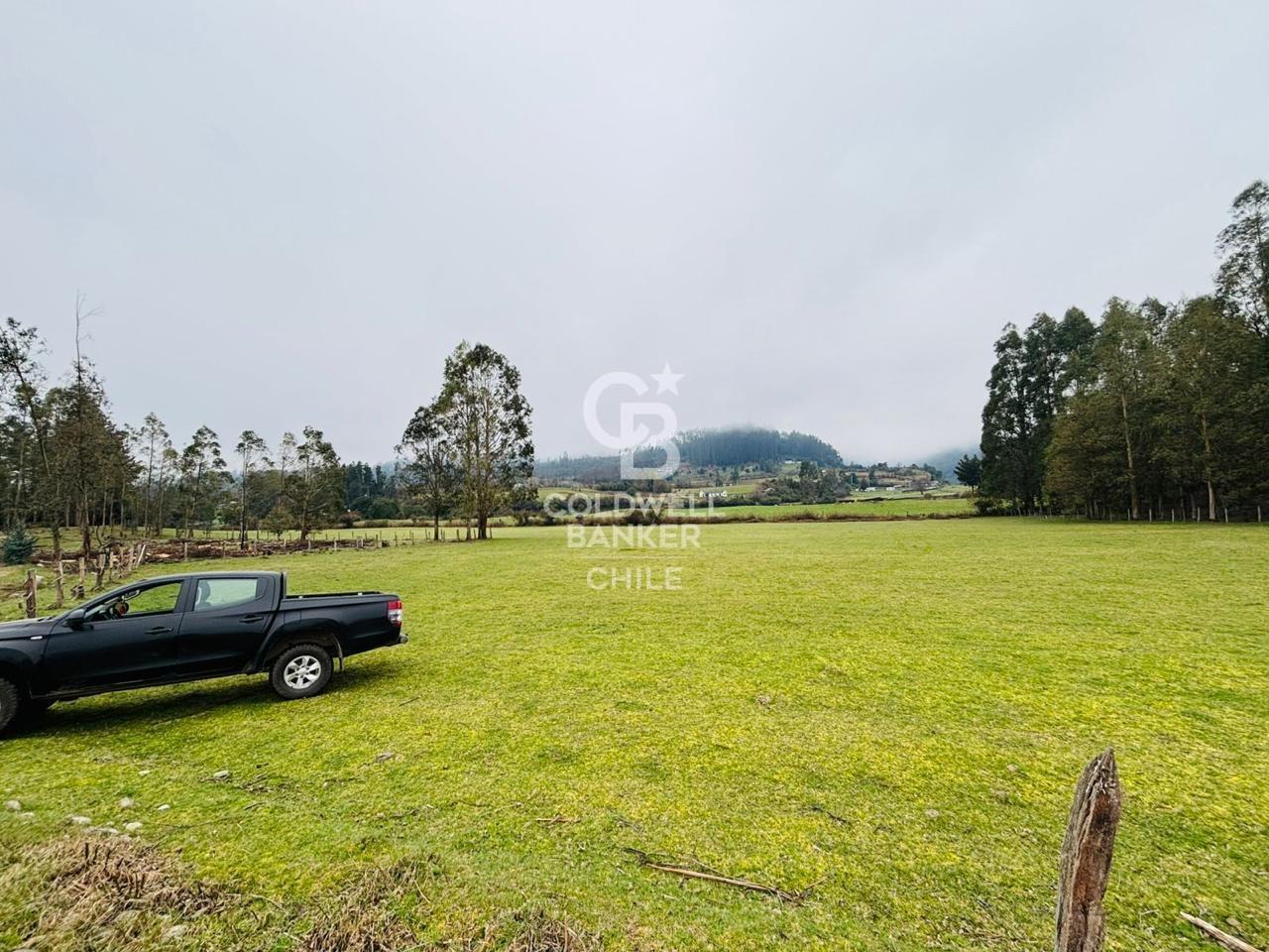 Futrono, Chile, ,Residential,For Sale,1934397