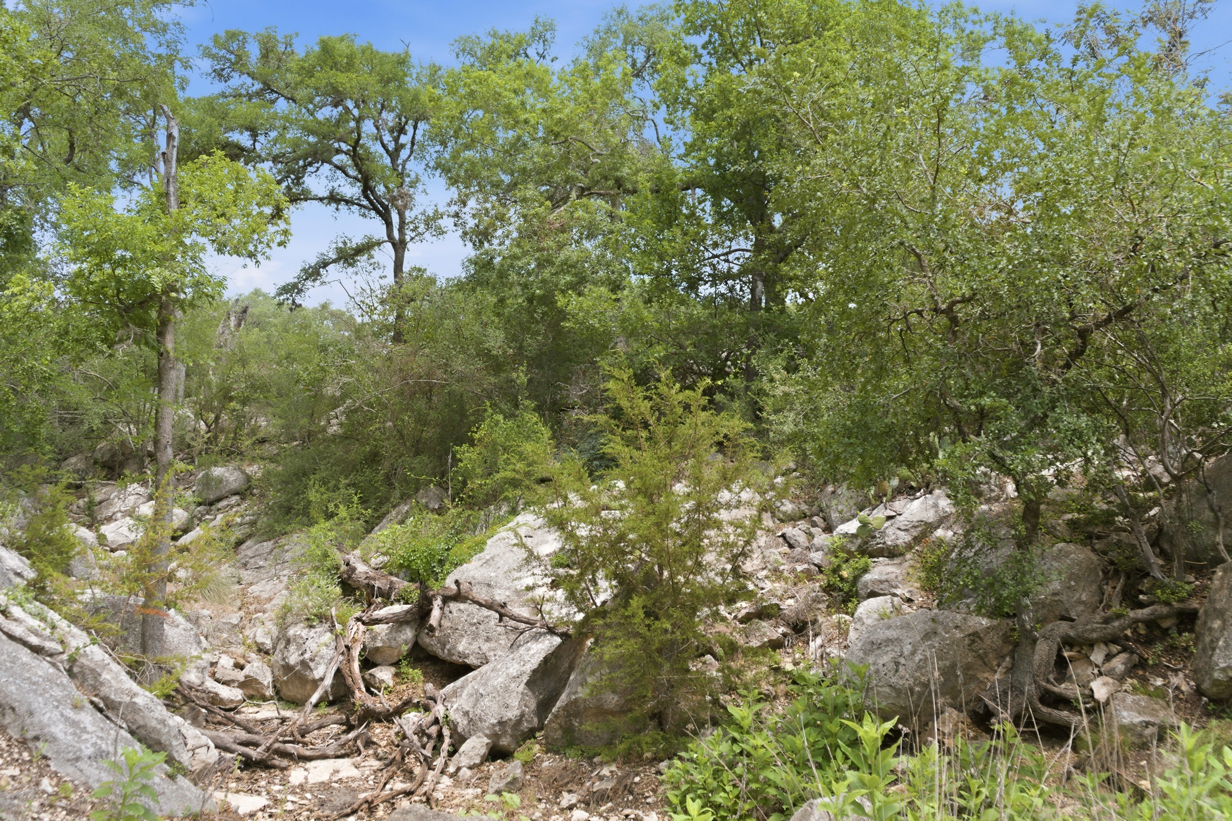  Rolling Oaks Ranch: The Pinnacle of Private Estate Living - 物件實景
