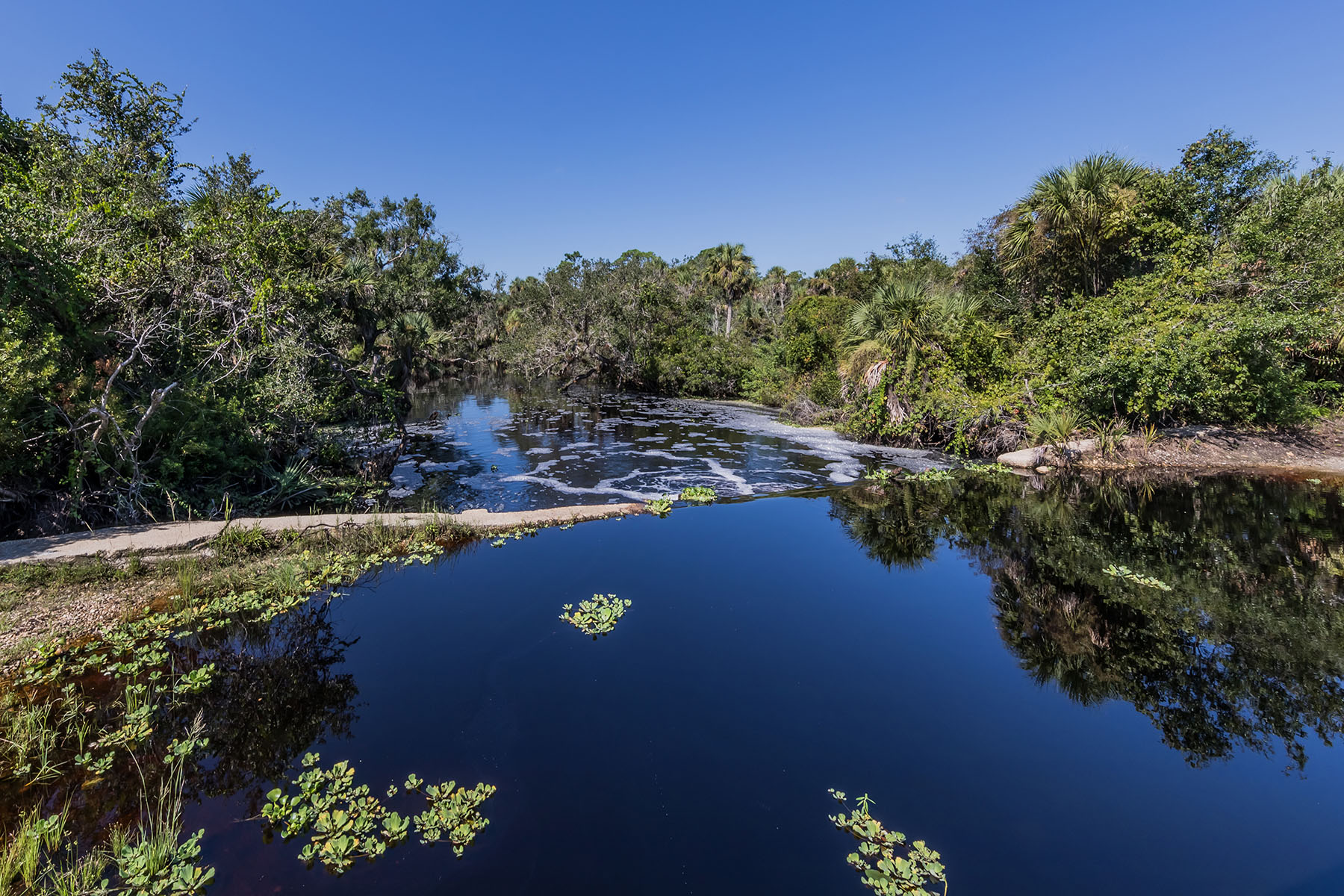  WARM MINERAL SPRINGS - 物件實景