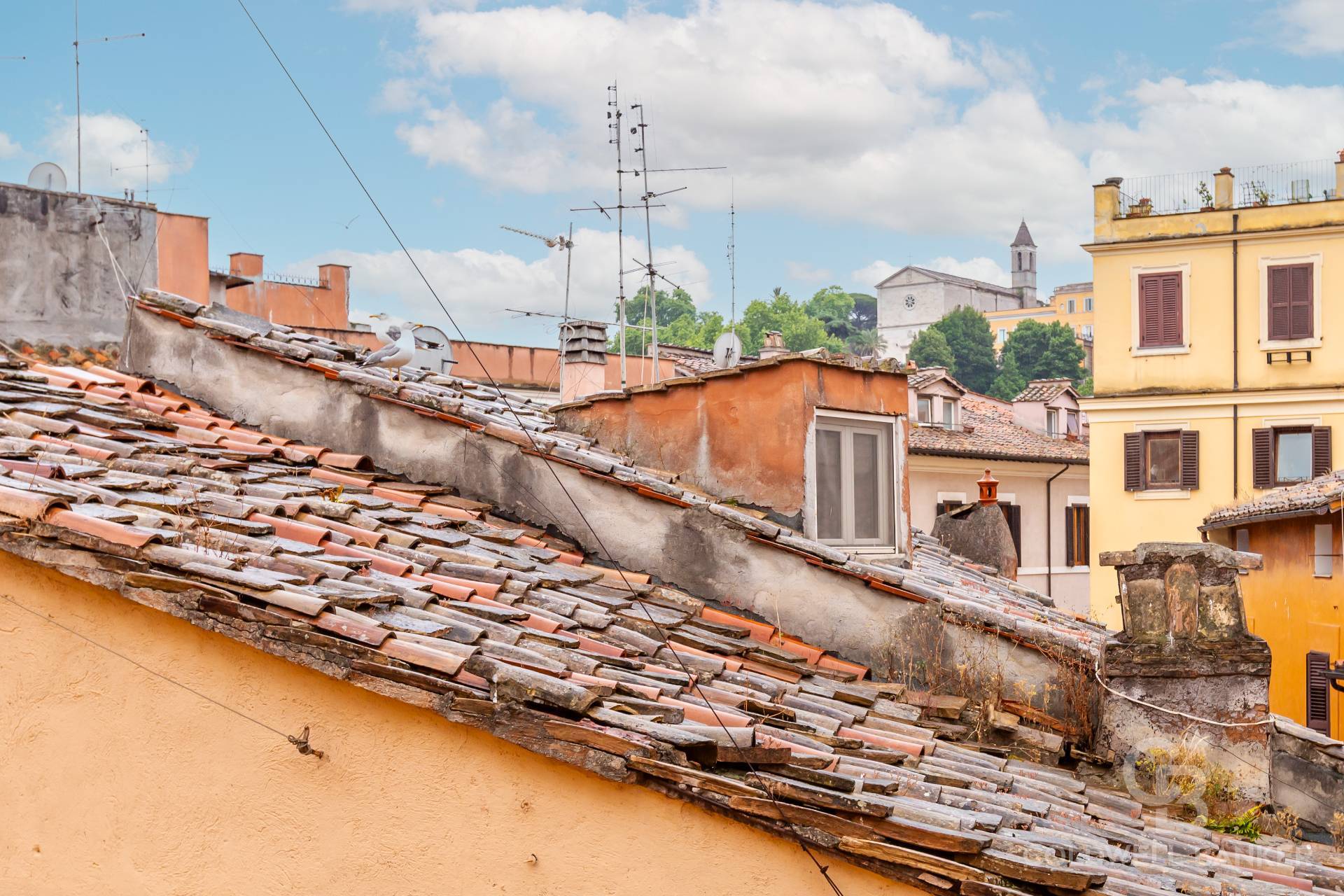 Roma, Roma, 00100, IT, 3 Bedrooms Bedrooms, ,2 BathroomsBathrooms,Residential,For Sale,1837964