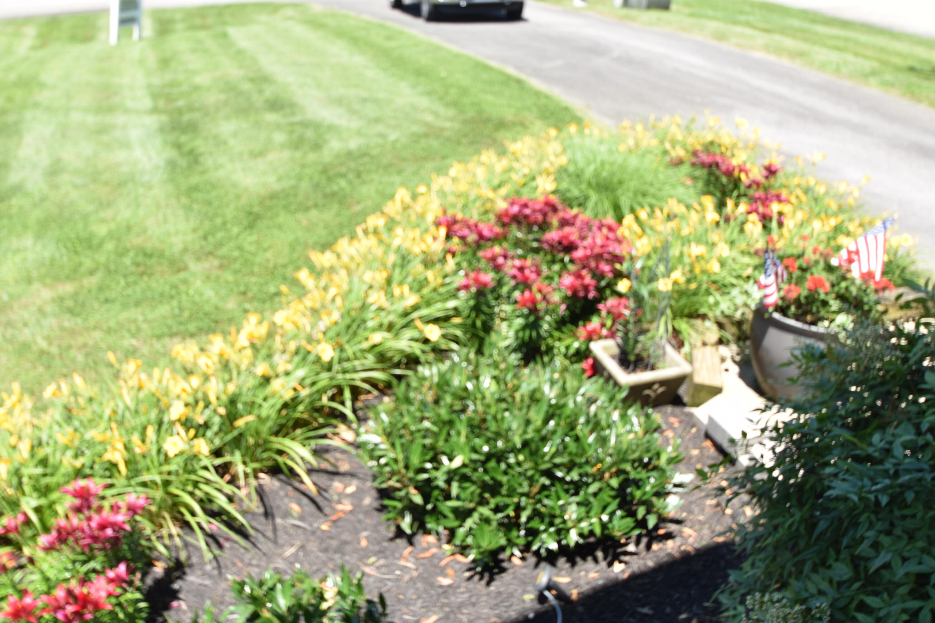 Harrodsburg, Kentucky, 40330, United States, 5 Bedrooms Bedrooms, ,4 BathroomsBathrooms,Residential,For Sale,1826729