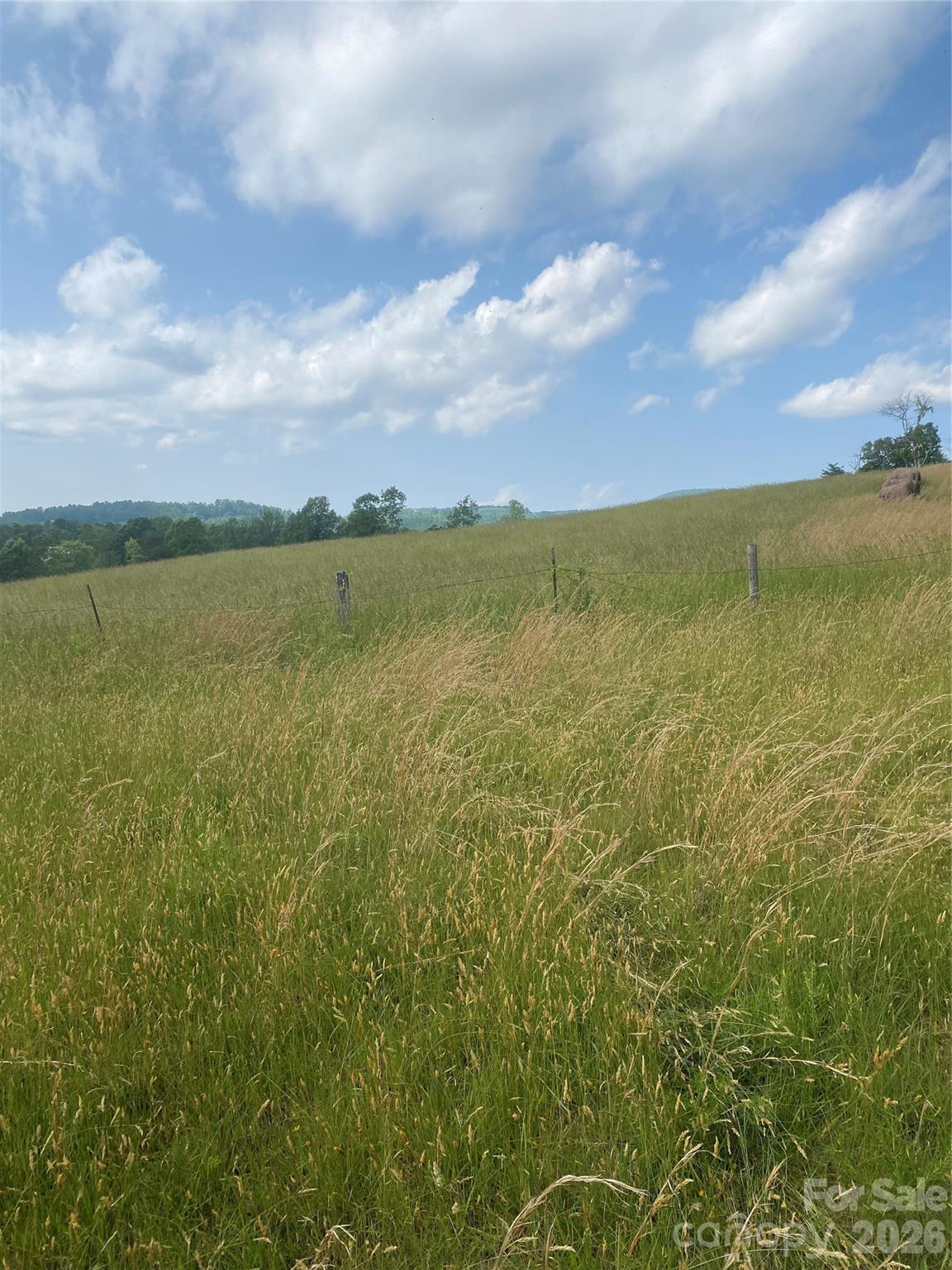 Hendersonville, North Carolina, 28792, United States, ,Land,For Sale,2010421