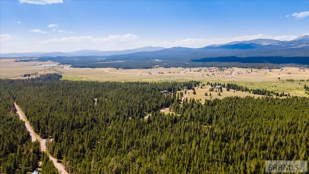 island Park, Idaho, 83429, United States, ,Land,For Sale,1975695