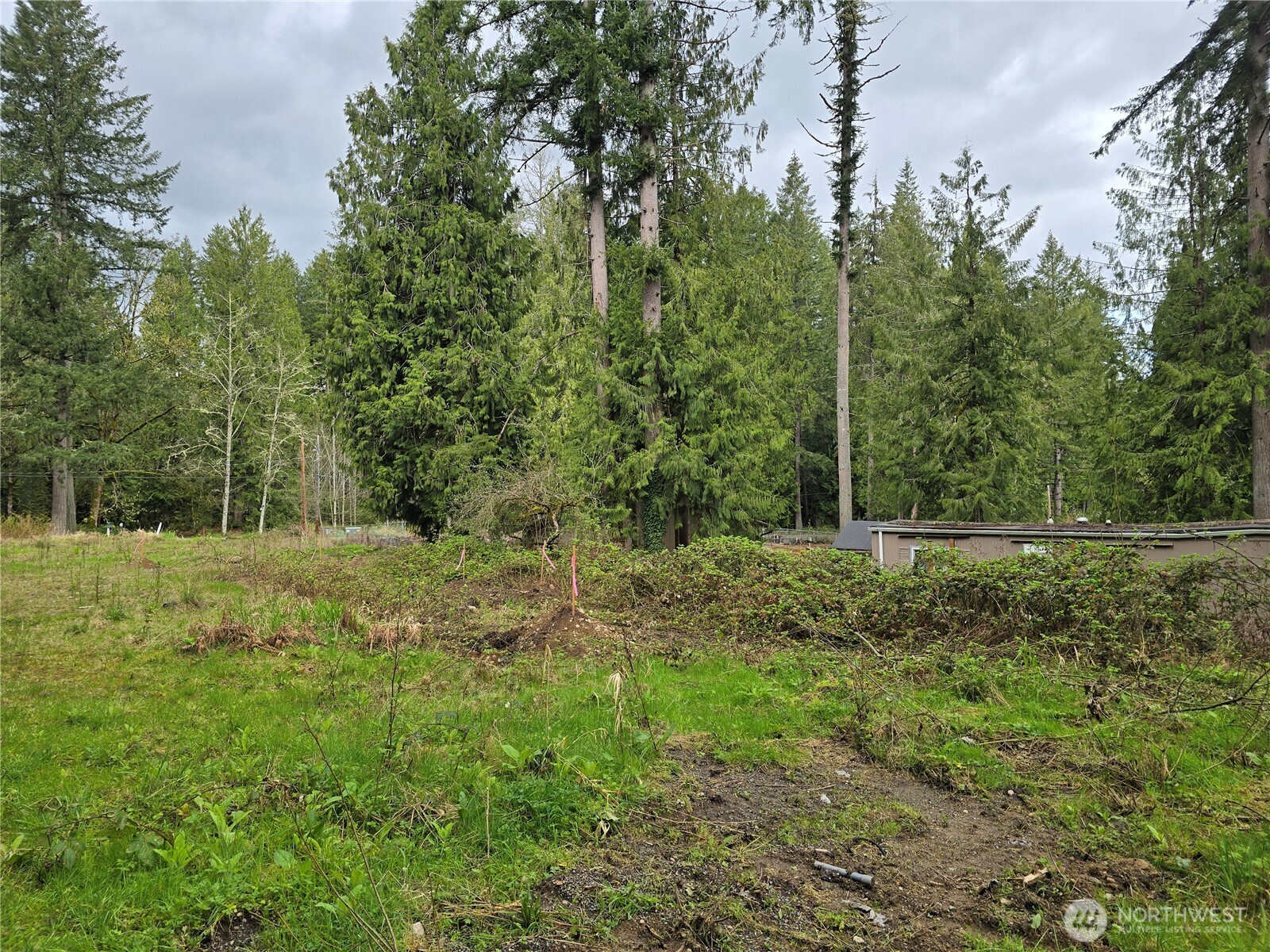 Redmond, Washington, 98005, United States, ,Land,For Sale,1768459