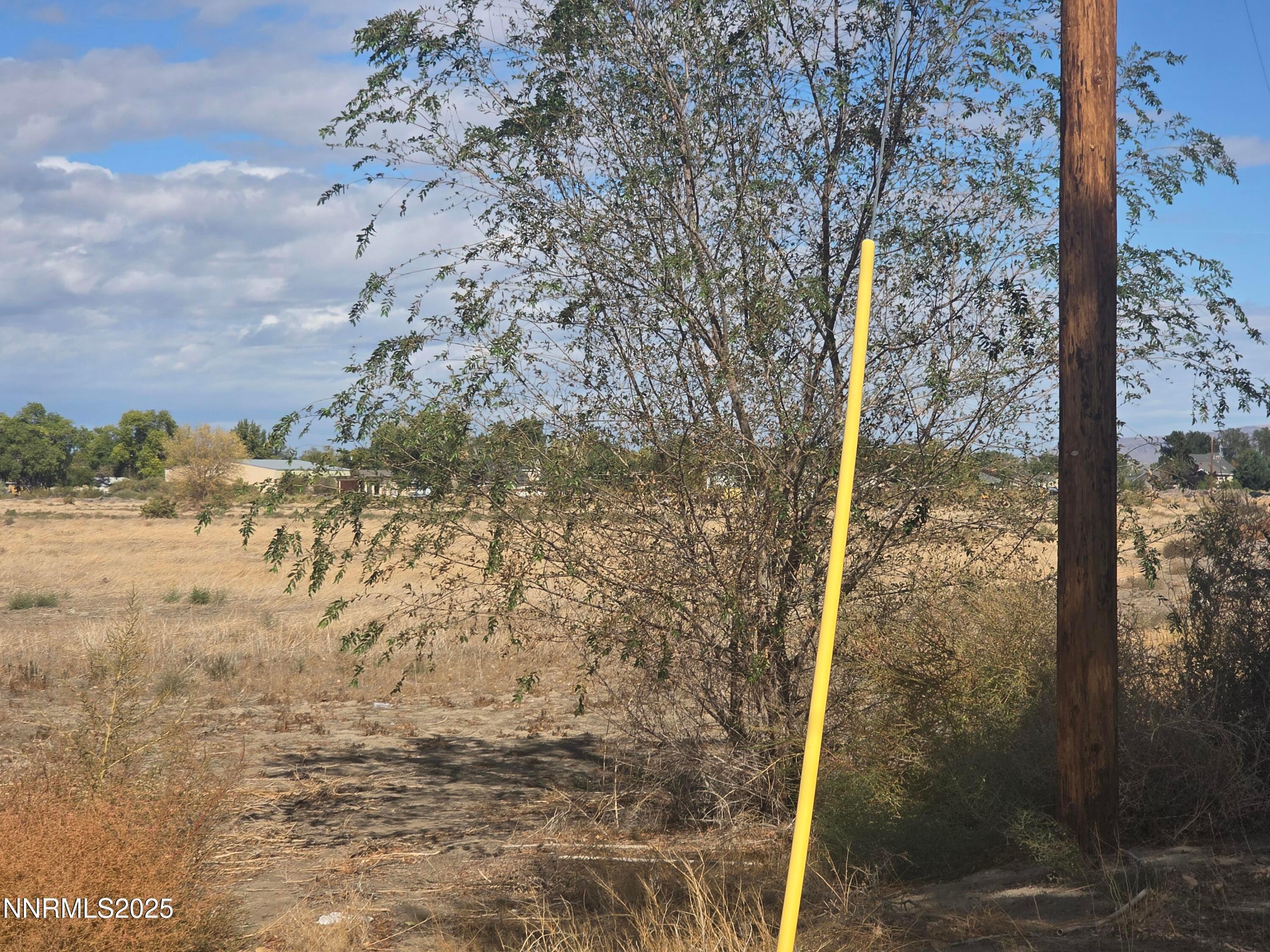 Yerington, Nevada, 89447, United States, ,Residential,For Sale,1987717