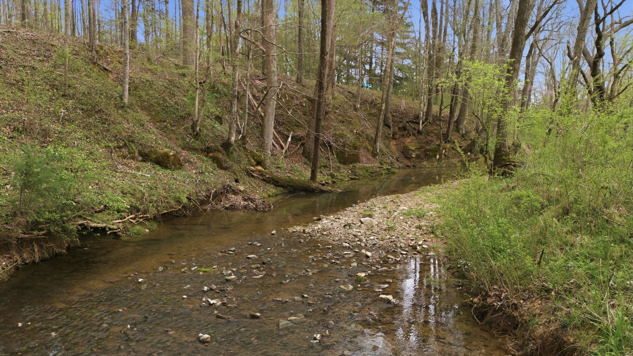  293 E Piney Rd, Dickson, TN, 37055 - 物件實景