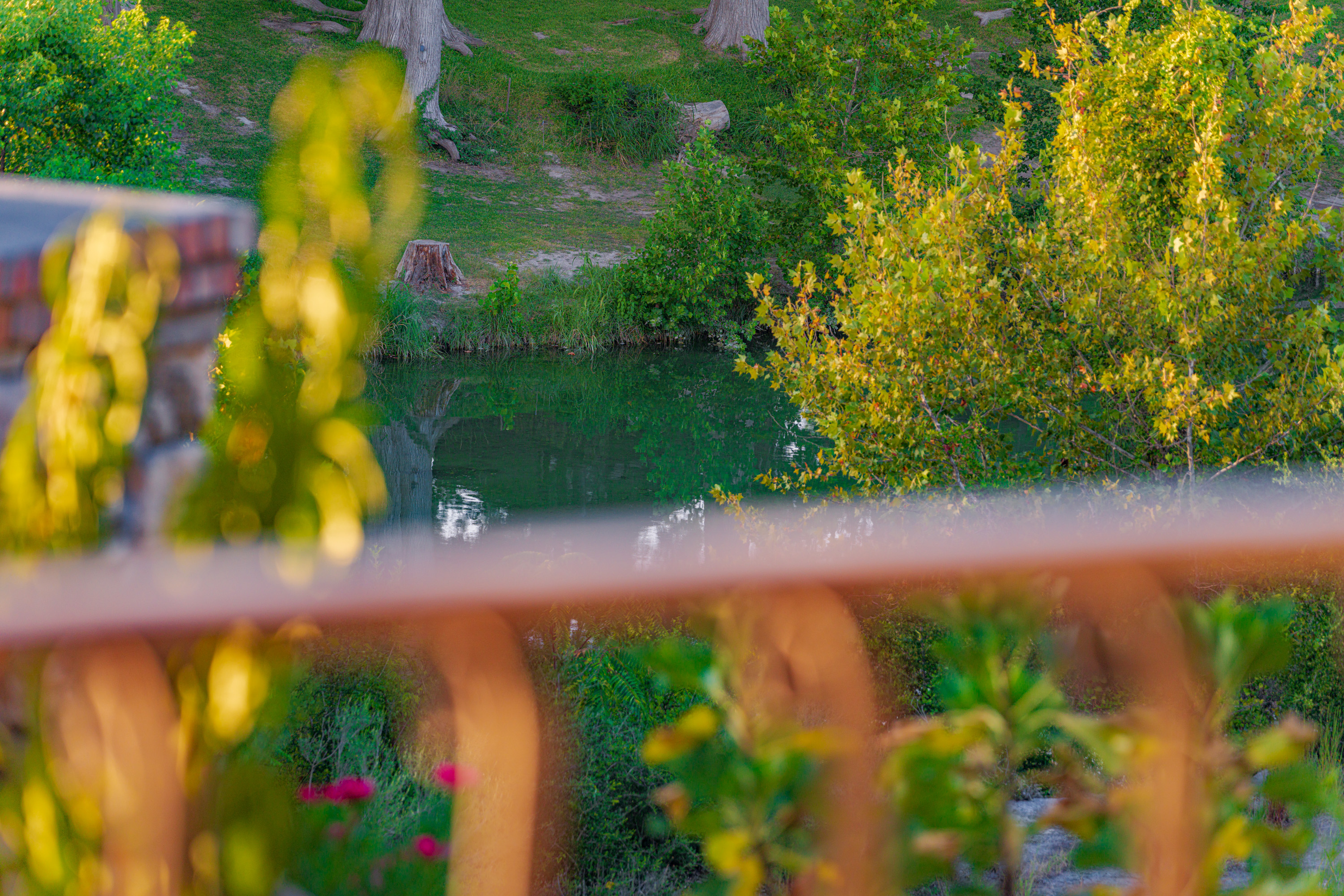  Secluded Riverfront Estate - 物件實景