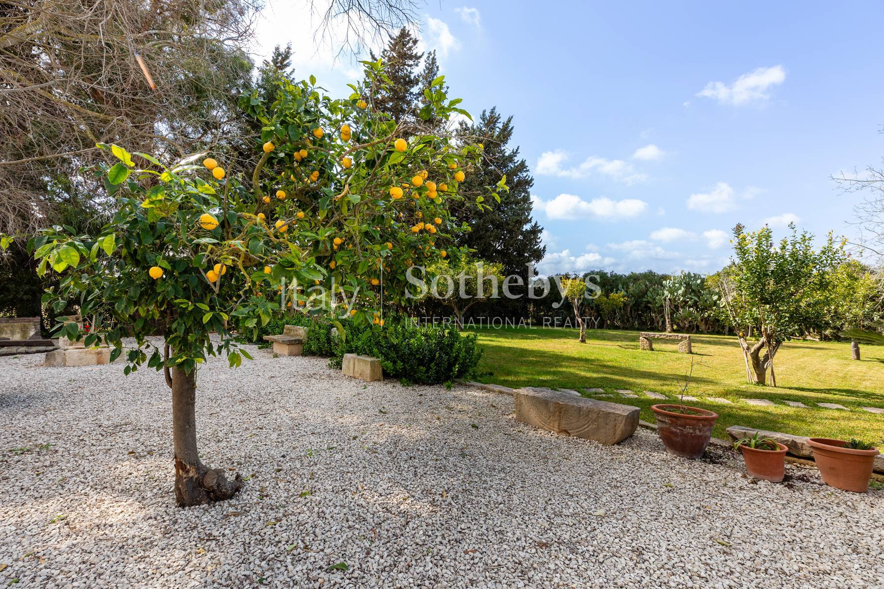 Historic Sicilian wine estate with vineyards and olive grove - 物件實景