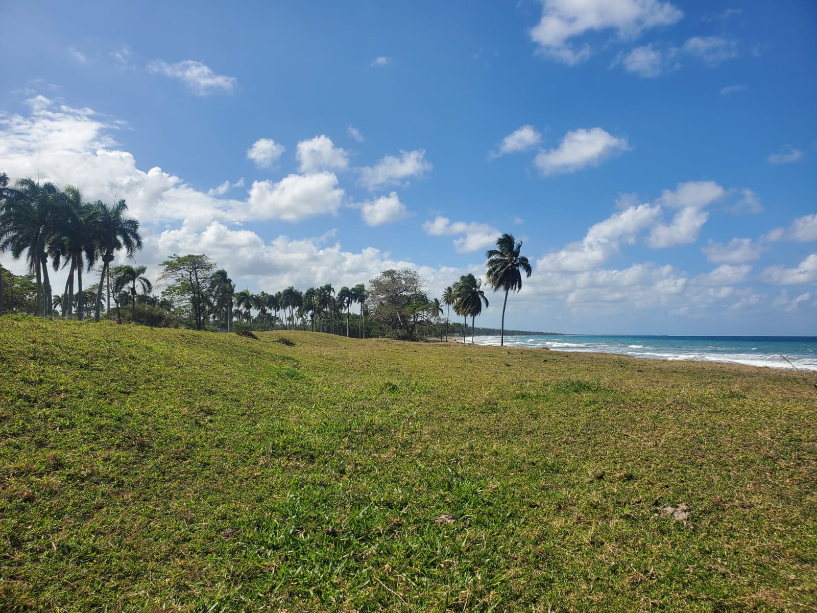 Cabarete, DO, ,Land,For Sale,1403048