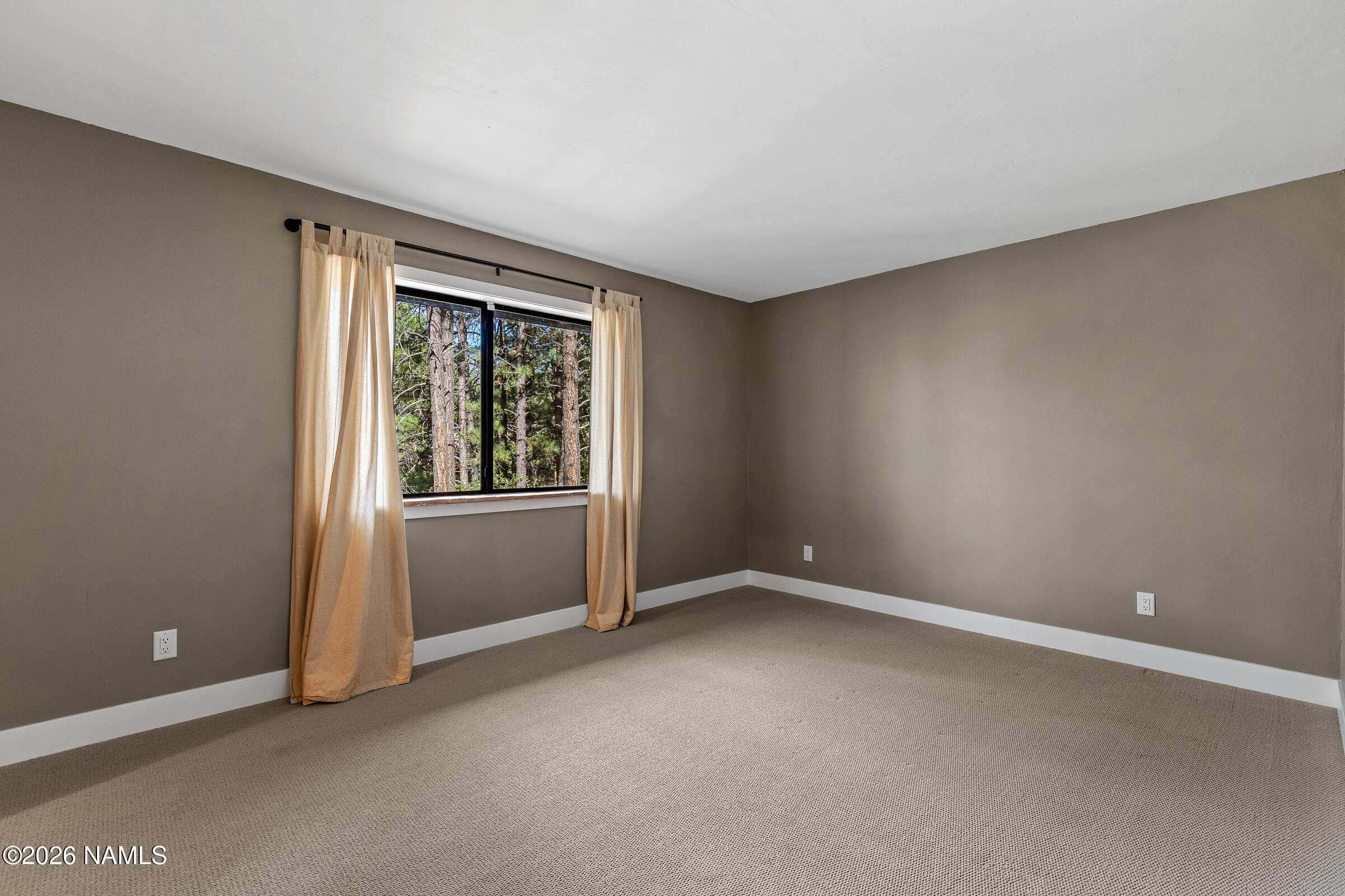  3579 Starlight Drive, Happy Jack, AZ 86024 - 物件實景