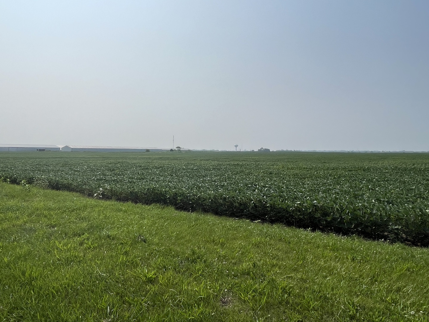 Manhattan, Illinois, 60442, United States, ,Residential,For Sale,1909326