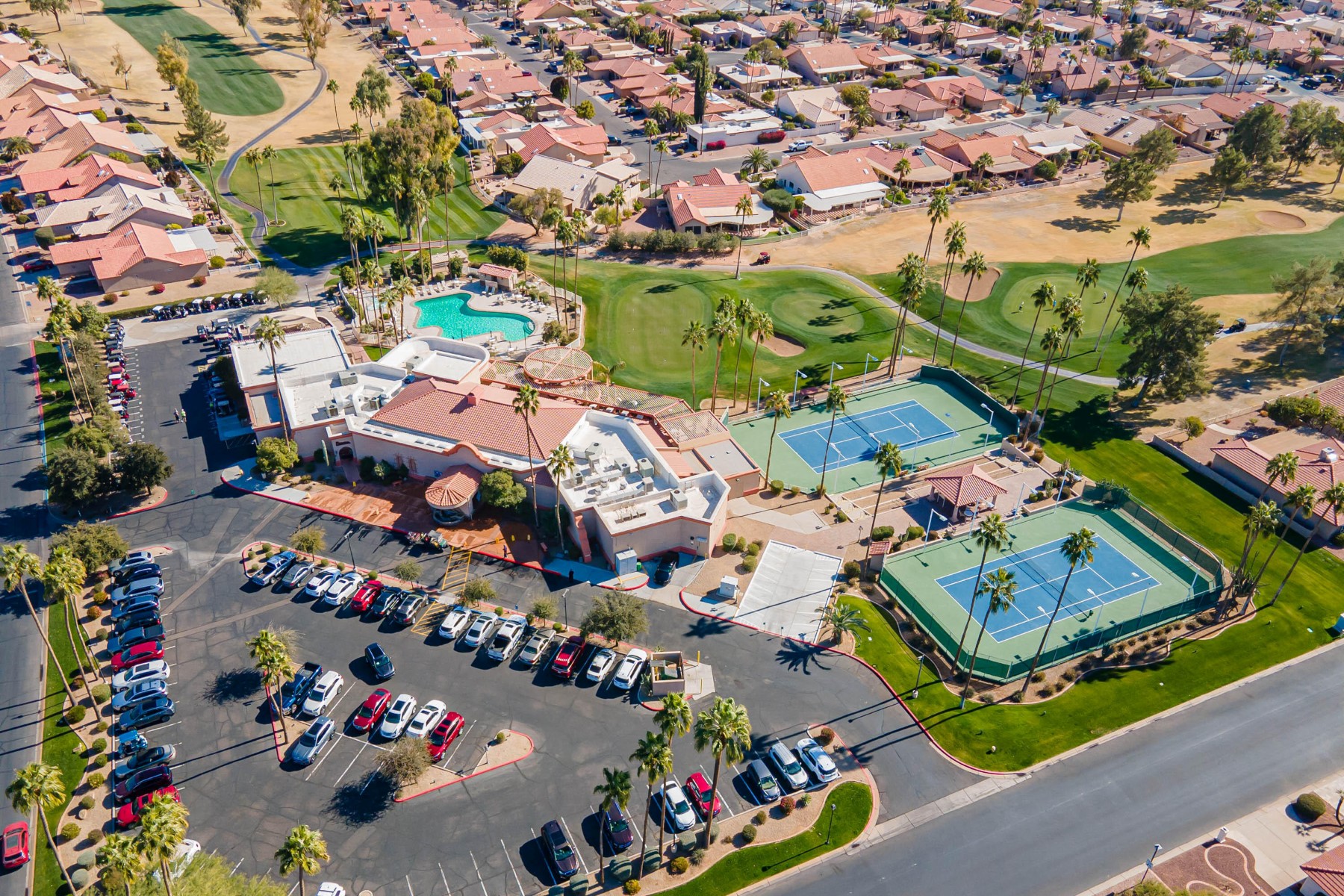  26202 S Flame Tree Drive  Sun Lakes, AZ - 物件實景