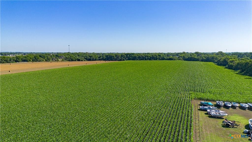 Mcqueeney, Texas, 78123, United States, ,Land,For Sale,1980081